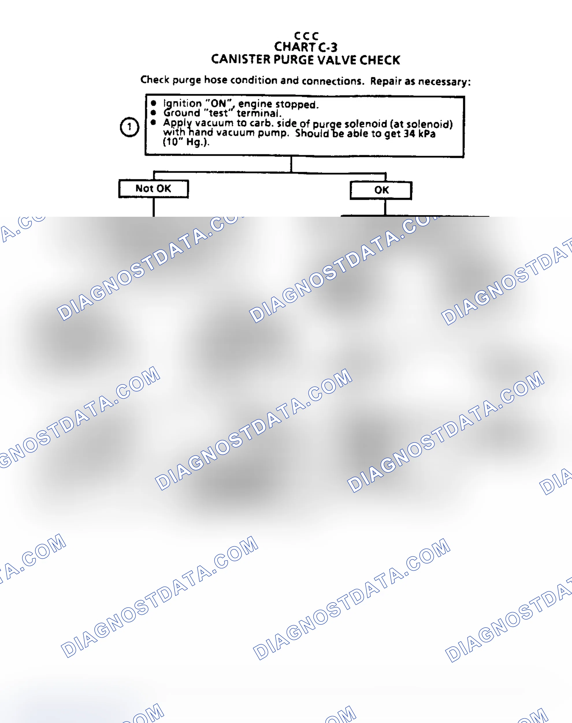 Scheme 321: Flow Chart C3 - Canister Purge Valve Check