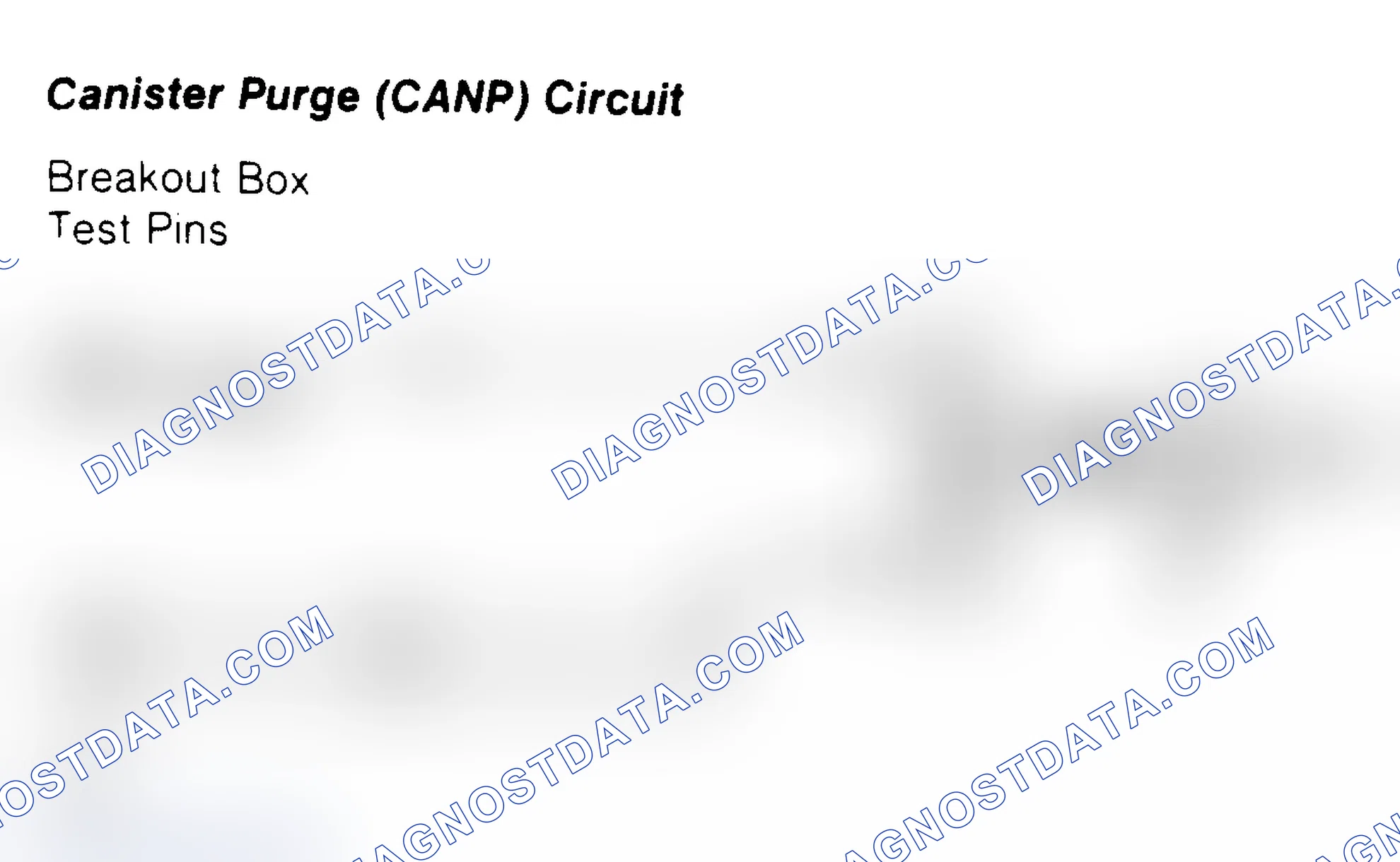 Scheme 123: Canister Purge (CANP) Circuit
