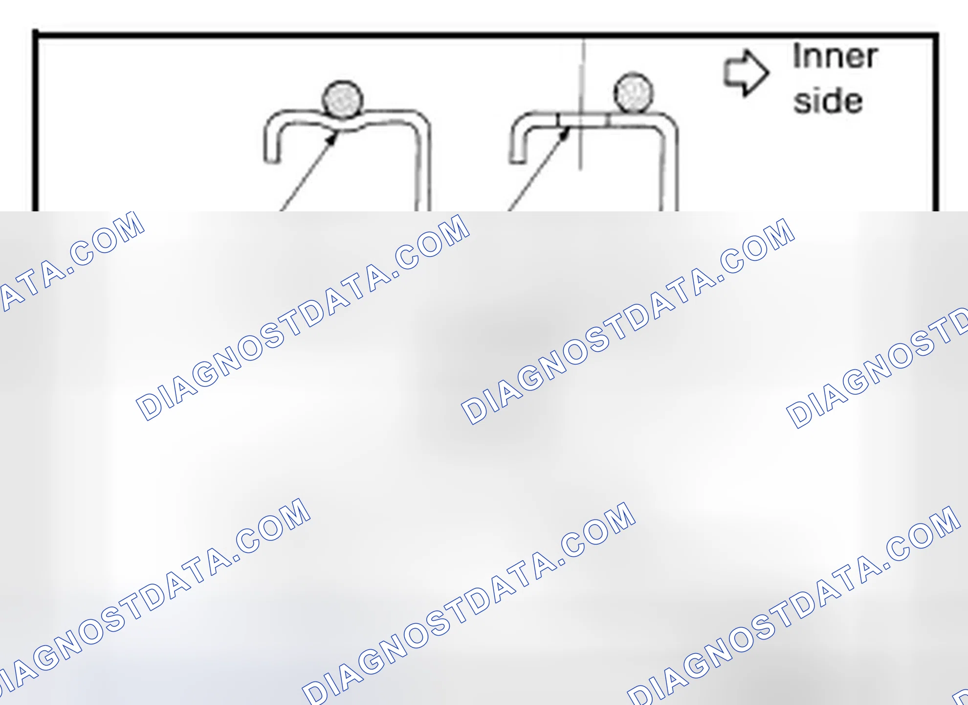 Scheme 319