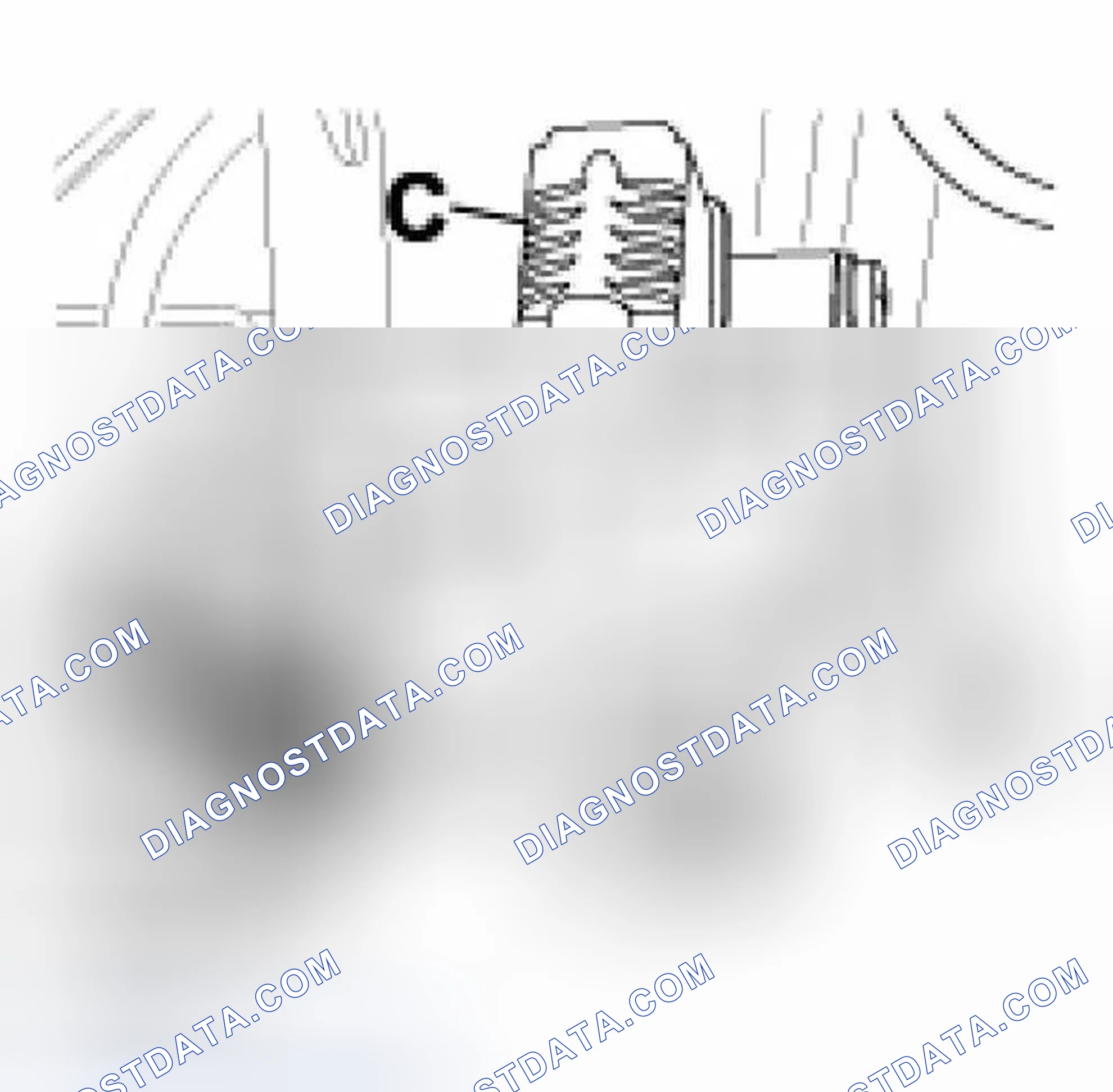 Scheme 508
