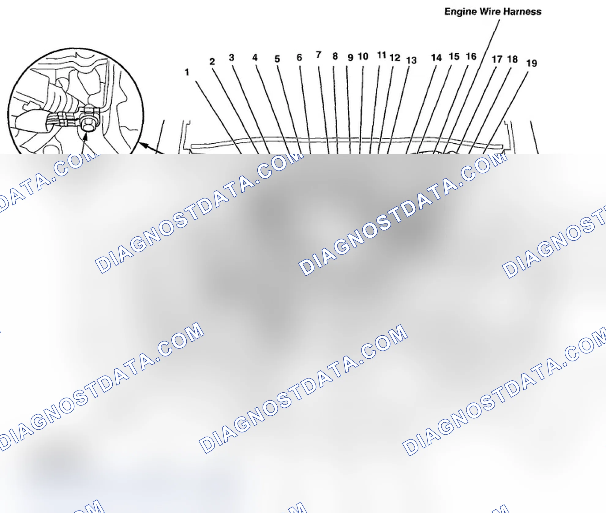 Scheme 515: Identifying Engine Wire Harness And Knock Sensor Sub-Harness (Page 203-13)