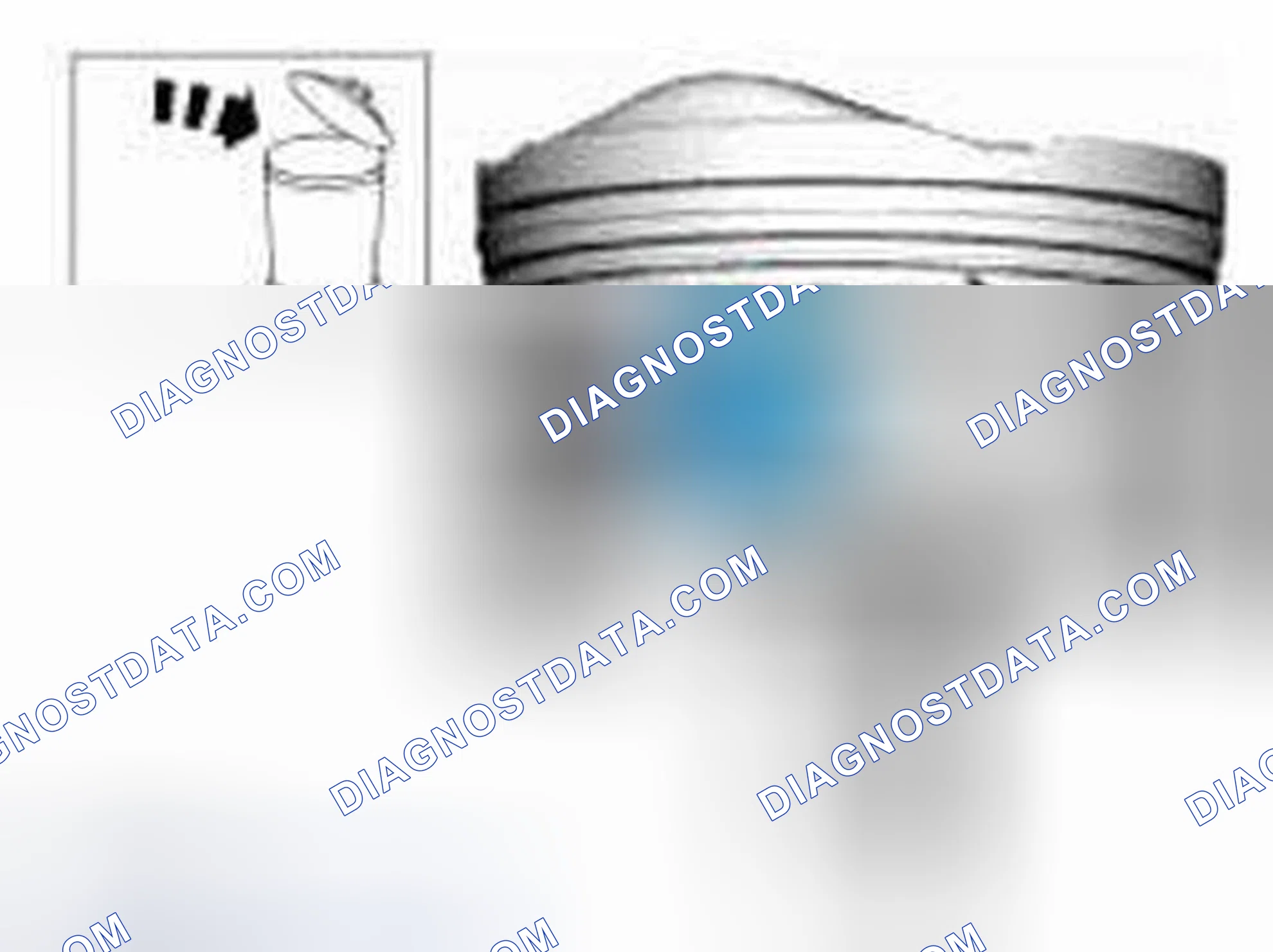 Scheme 247