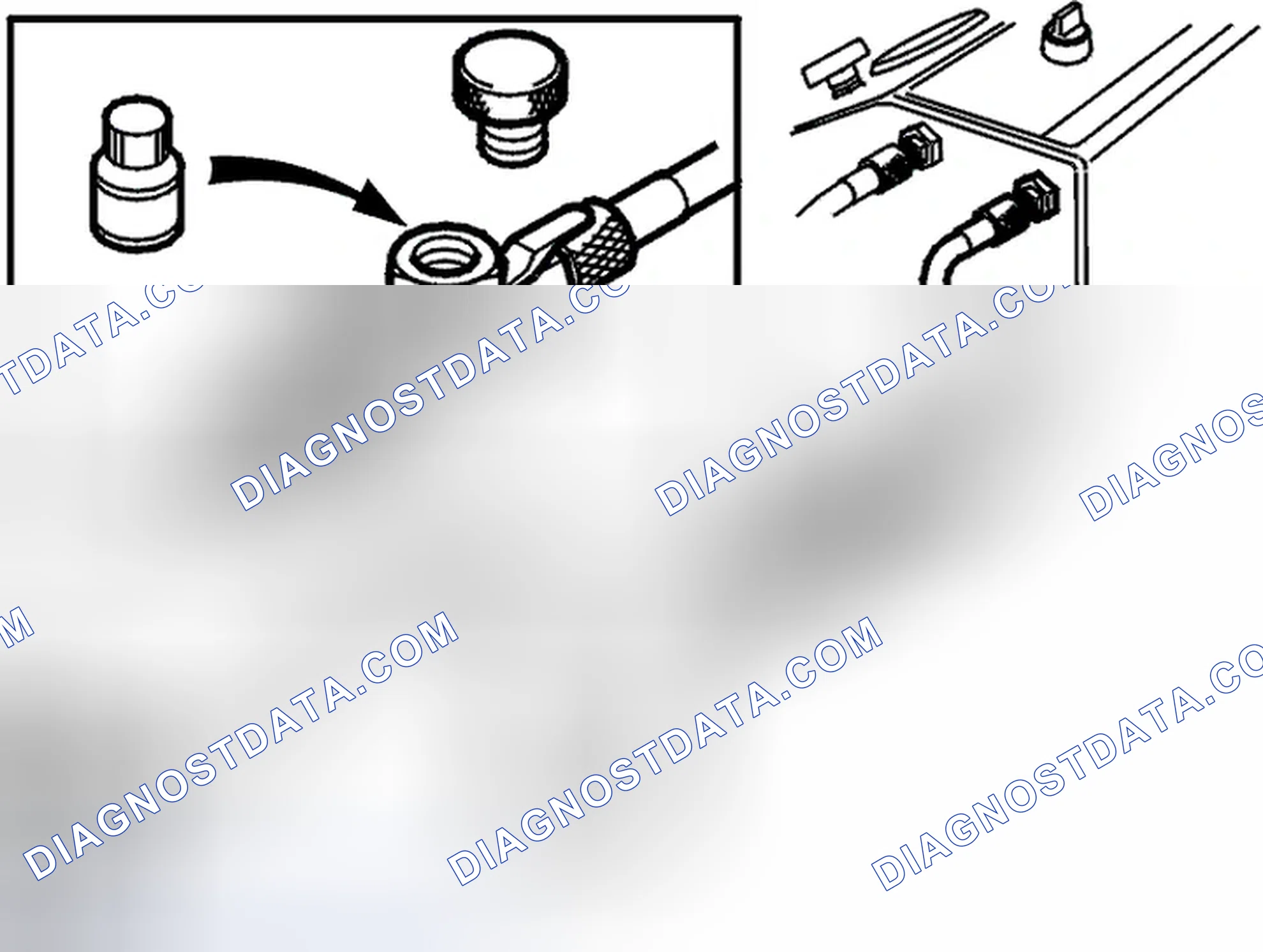 Scheme 225