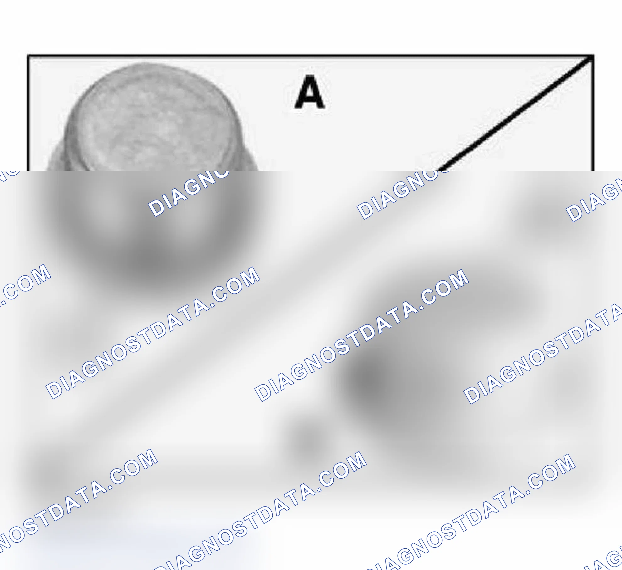 Scheme 85