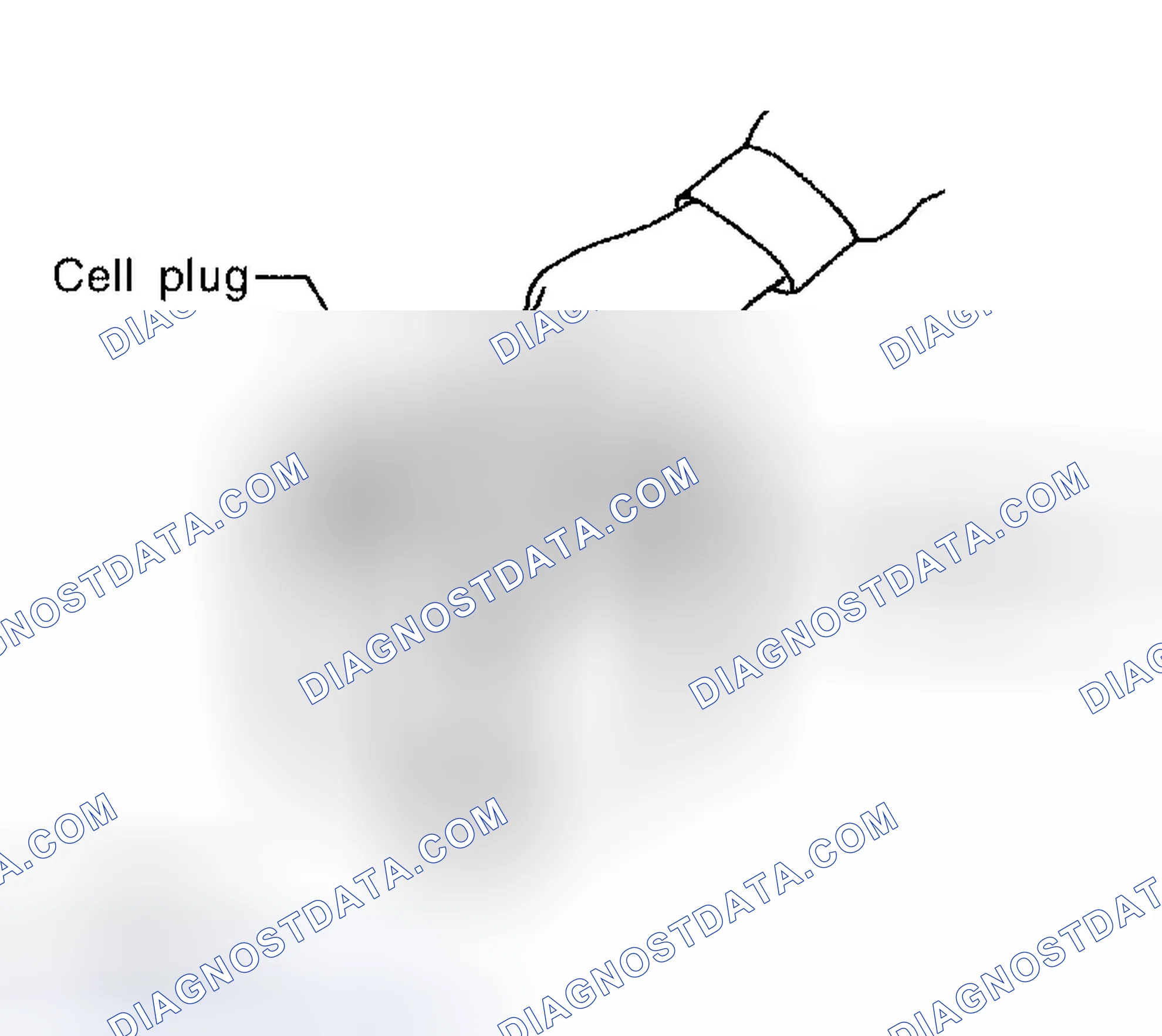 Scheme 47