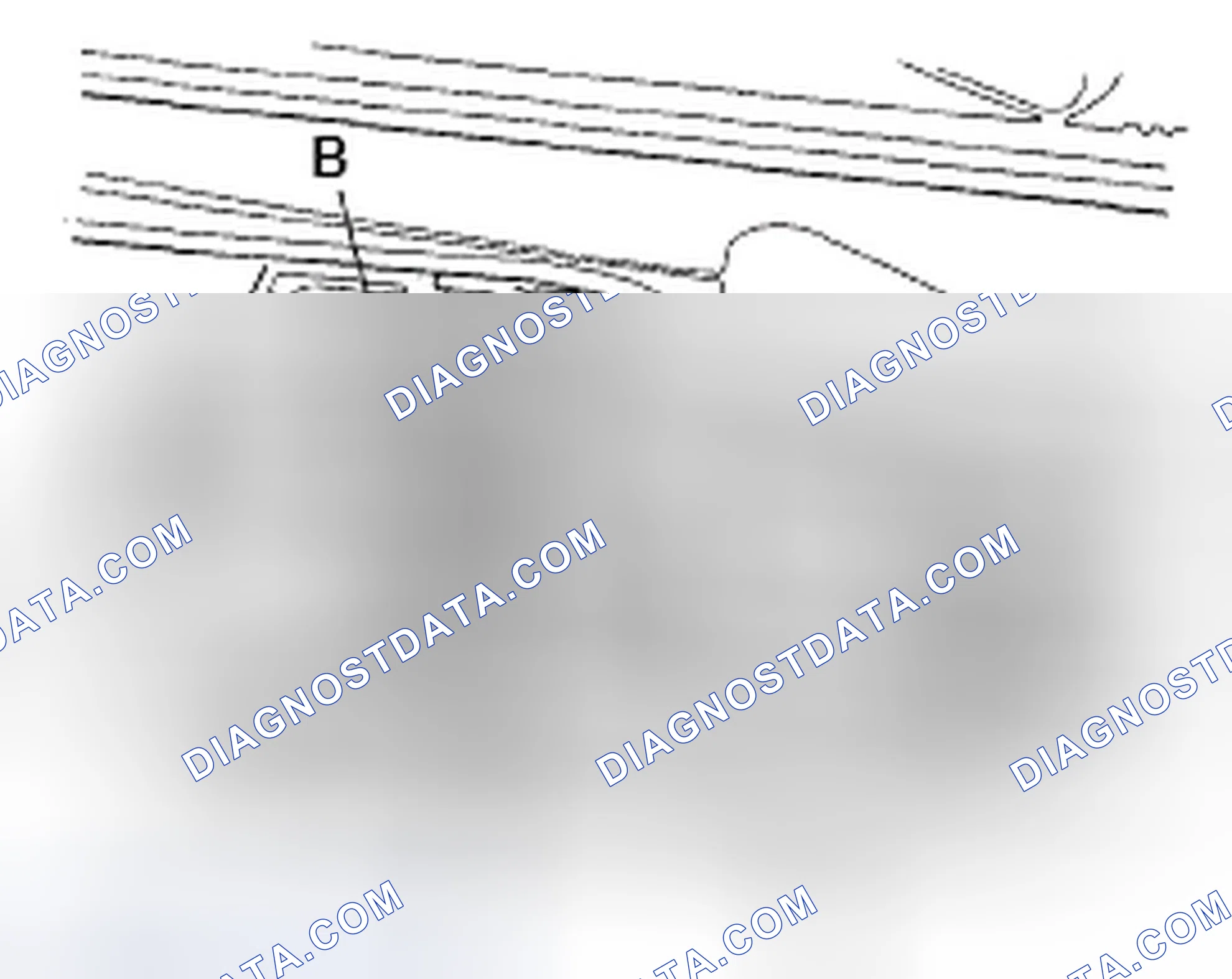 Scheme 143