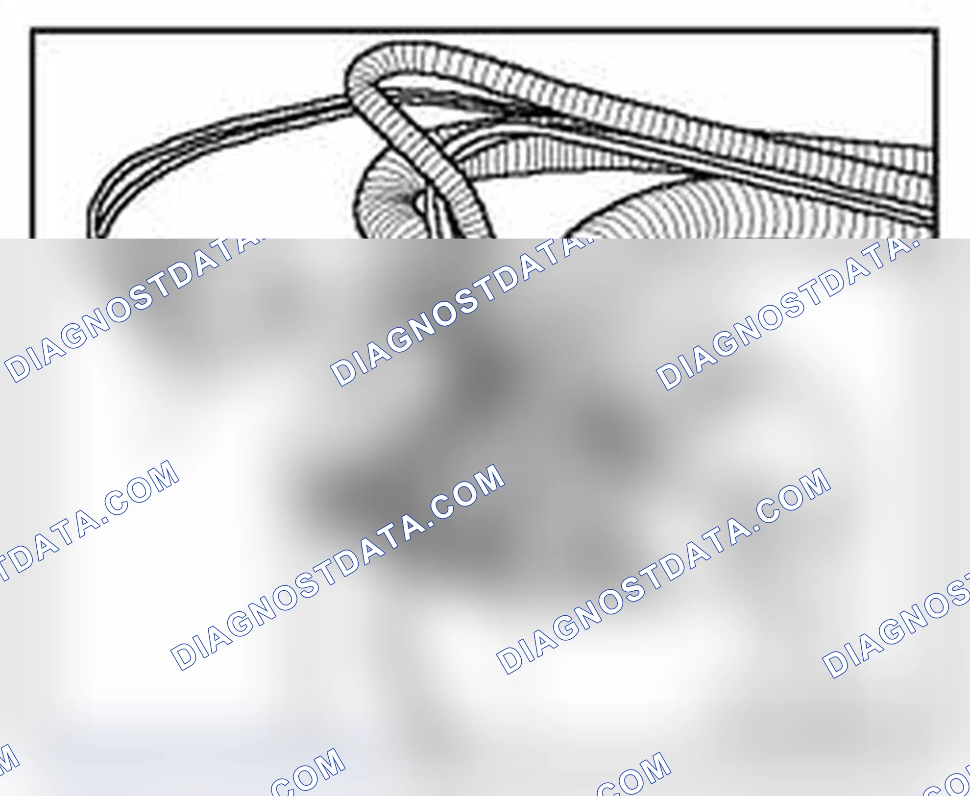 Scheme 67: Fuel Level Sensor G , removing and installing