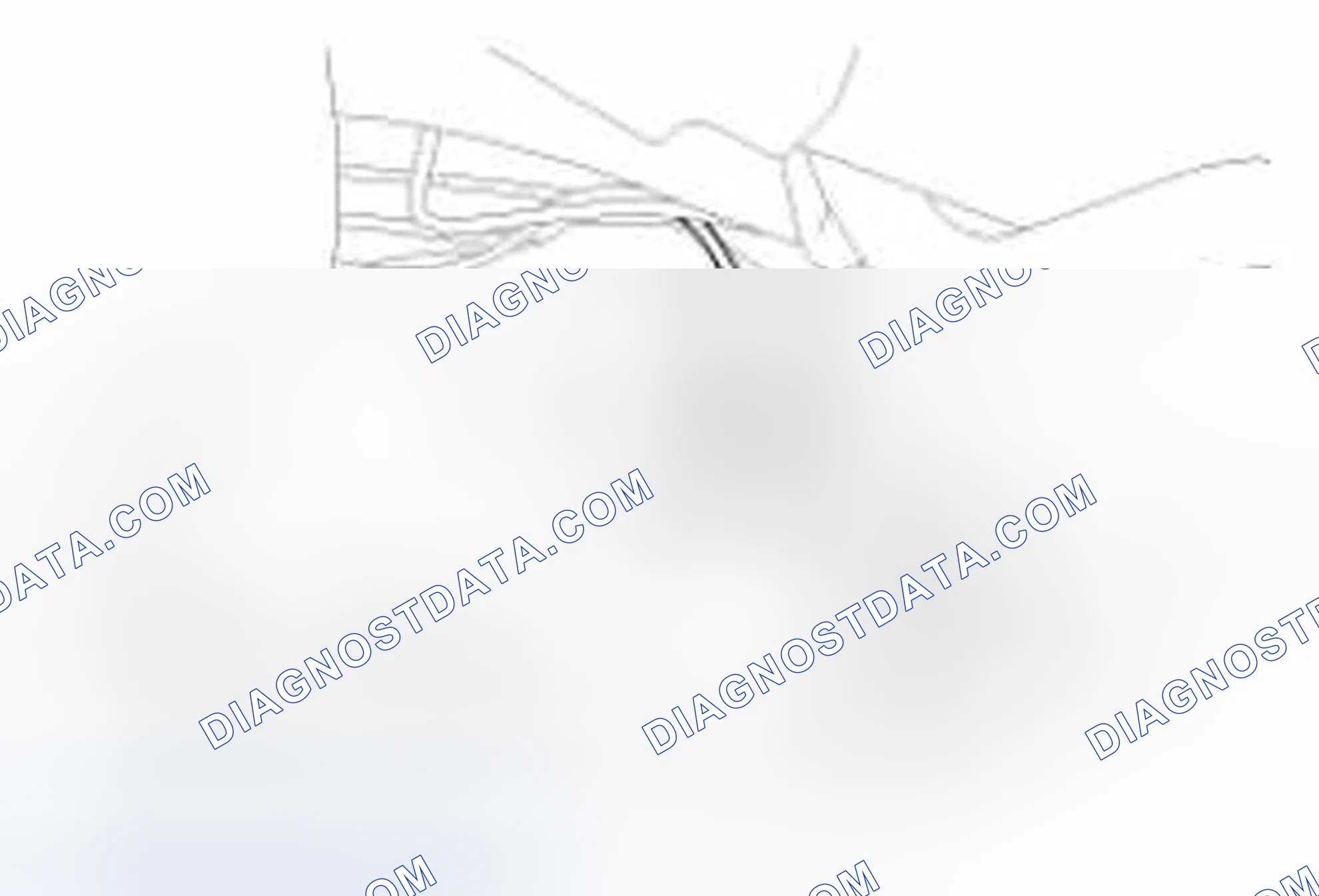 Scheme 119