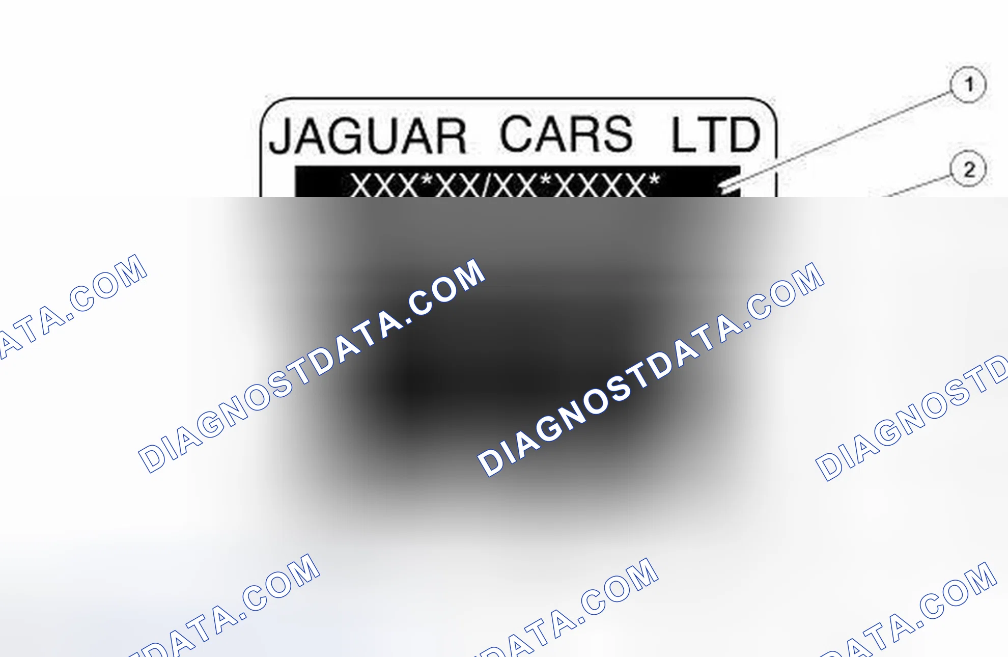 Scheme 6: Vehicle Certification Label