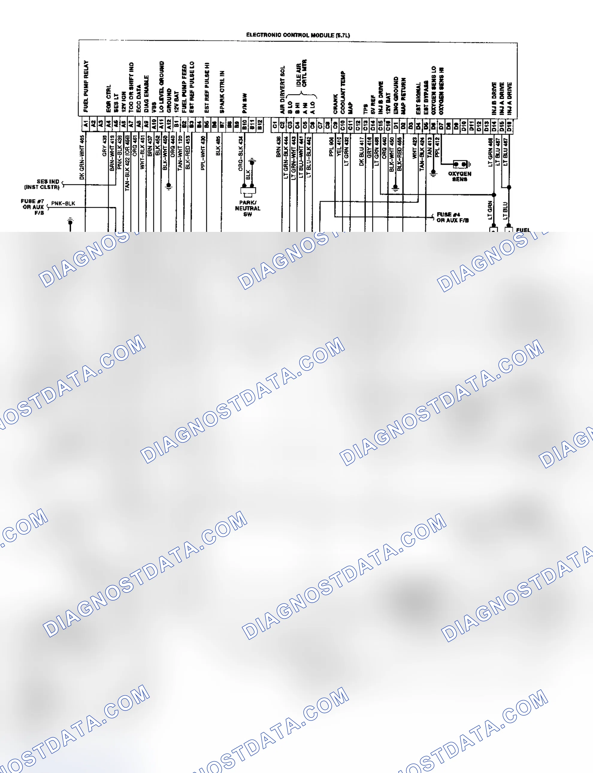 Scheme 19: "P" Series TBI/CCC Wiring Diagram