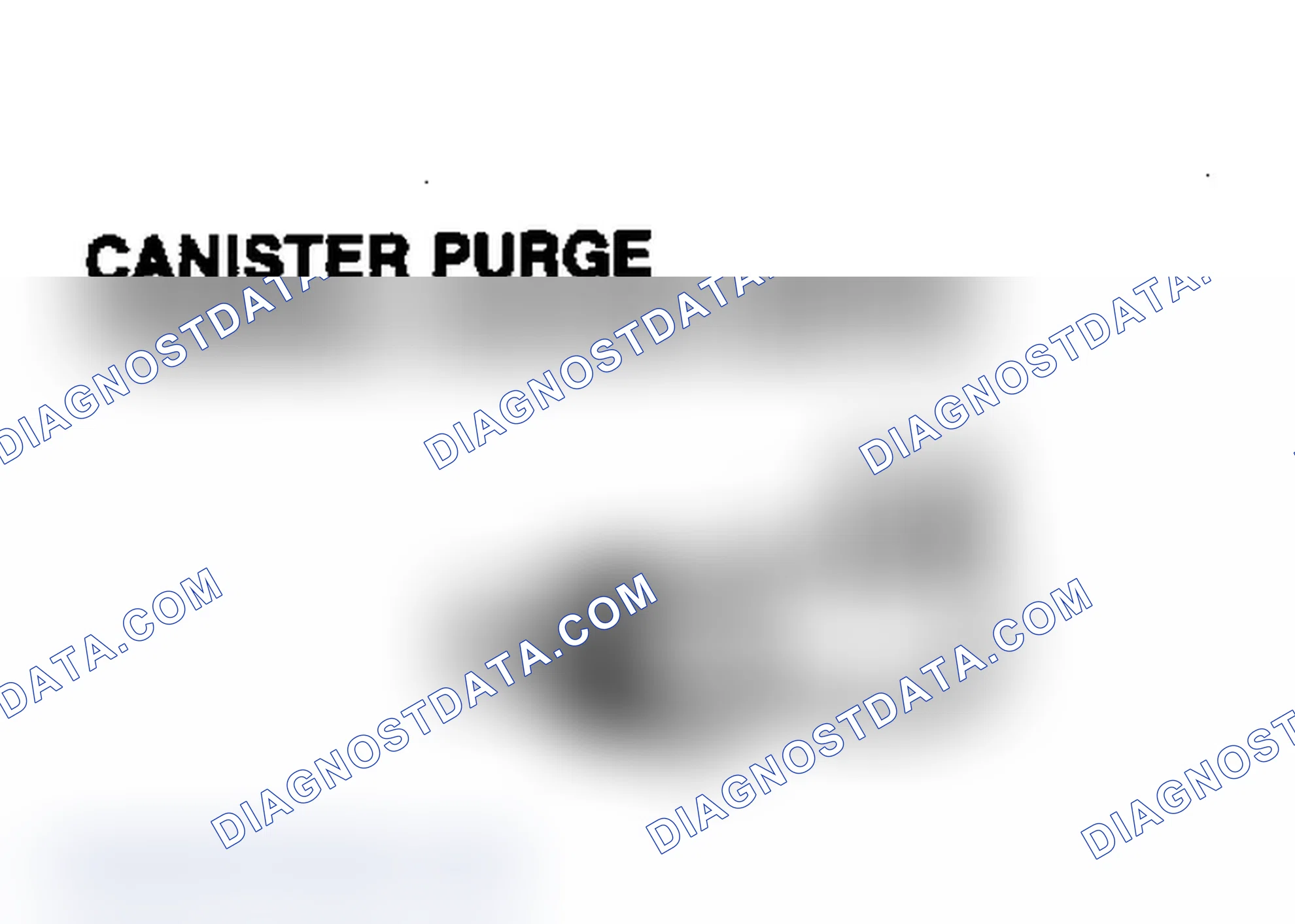 Scheme 1: CANISTER PURGE THERMAL VACUUM SWITCH