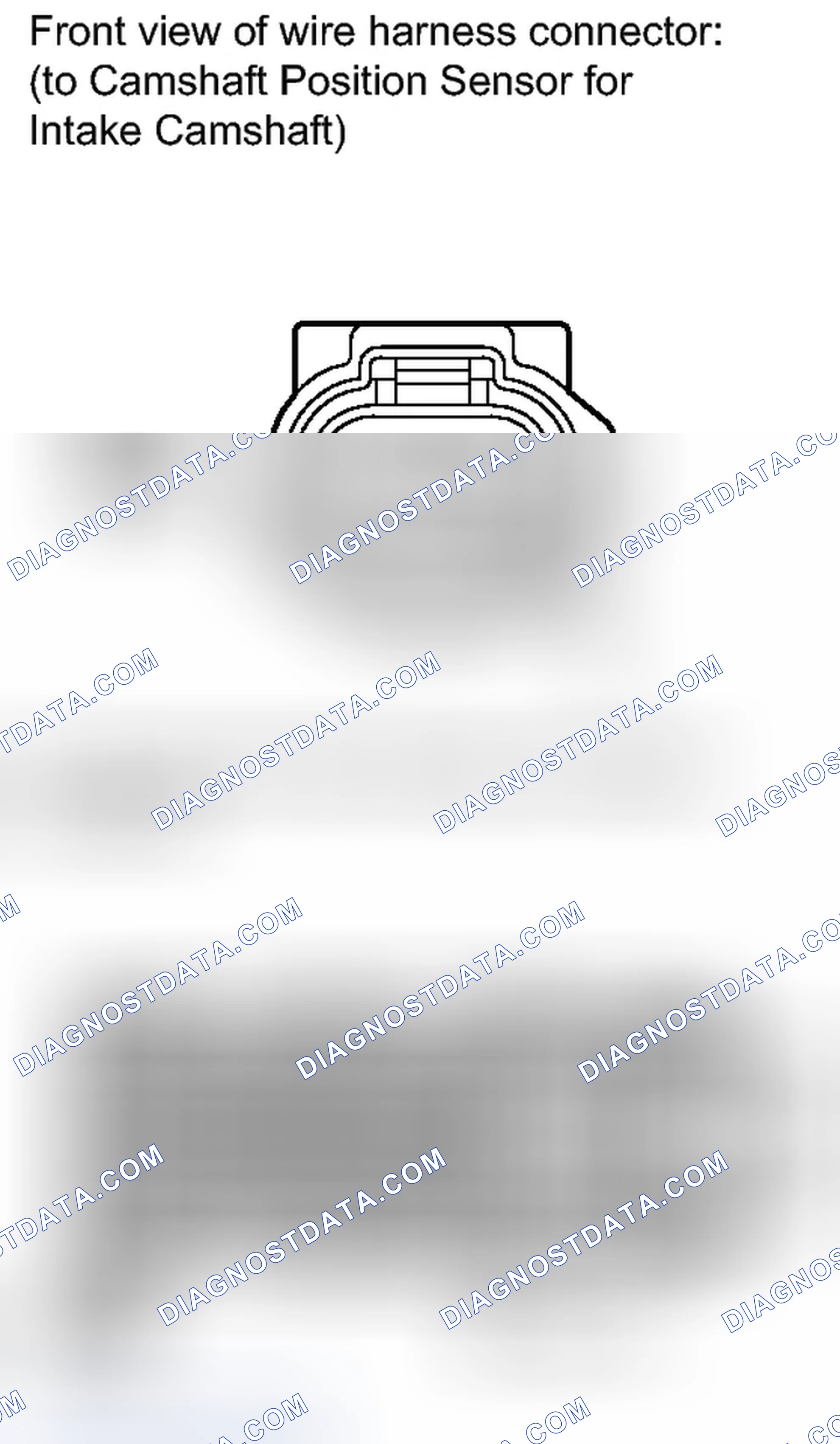 Scheme 293