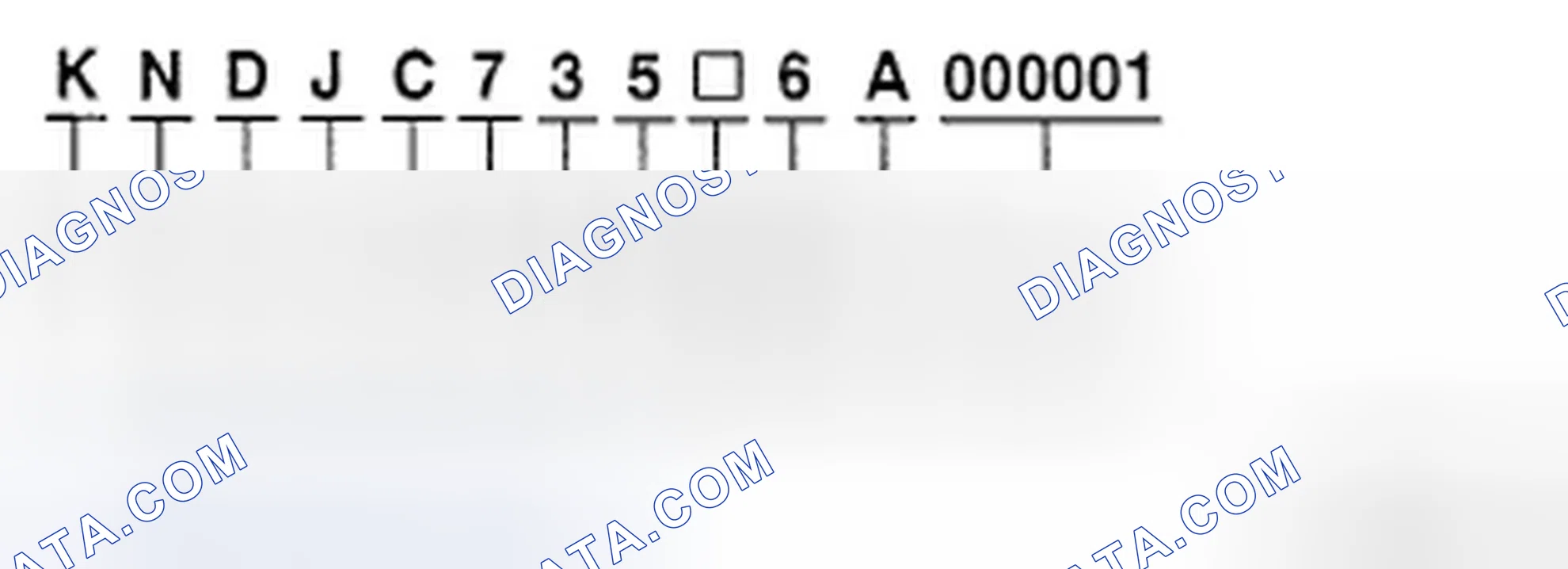 Scheme 1: VEHICLE IDENTIFICATION NUMBER