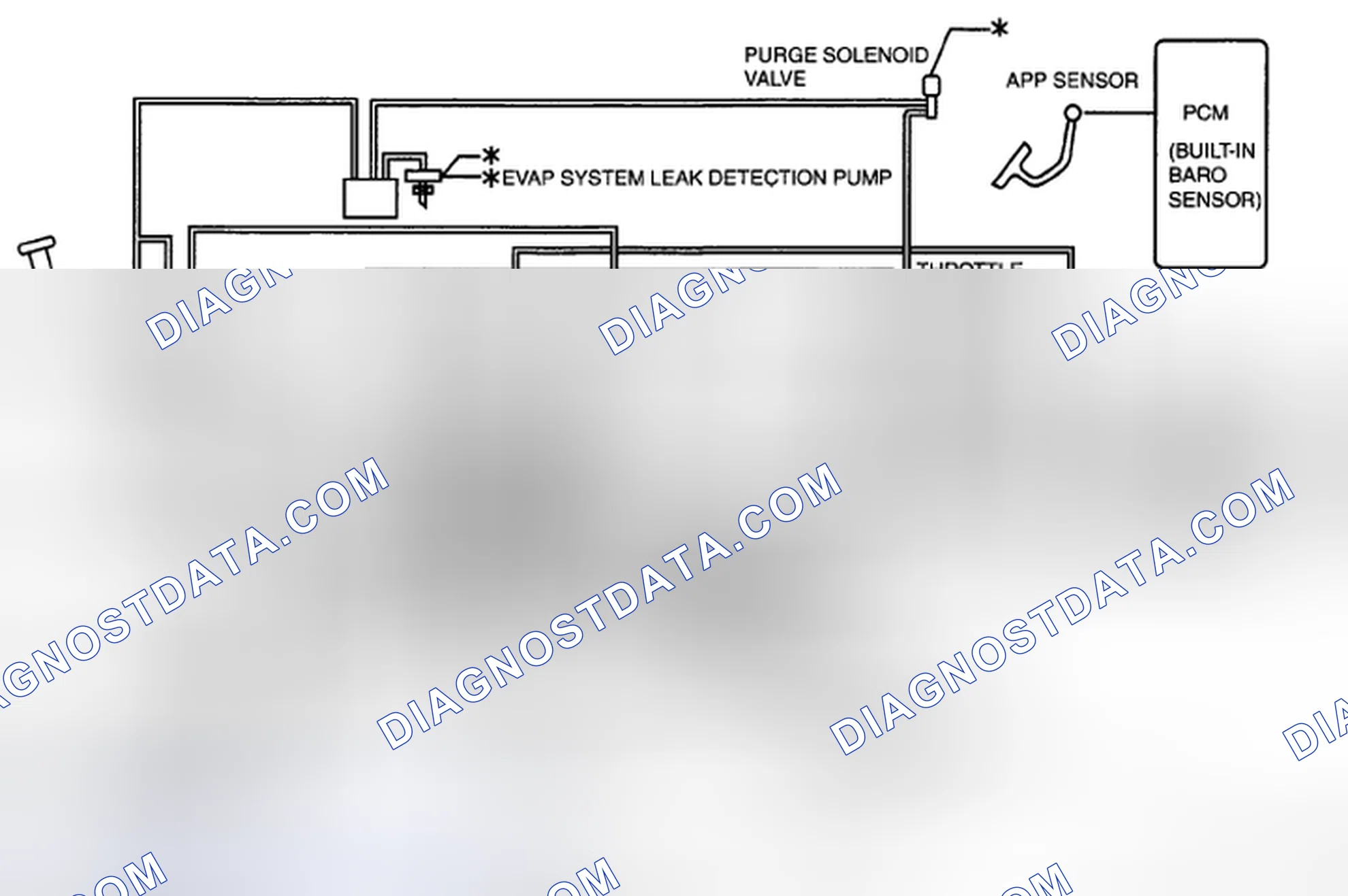 Scheme 26: Except for California Emission Regulation Applicable Model