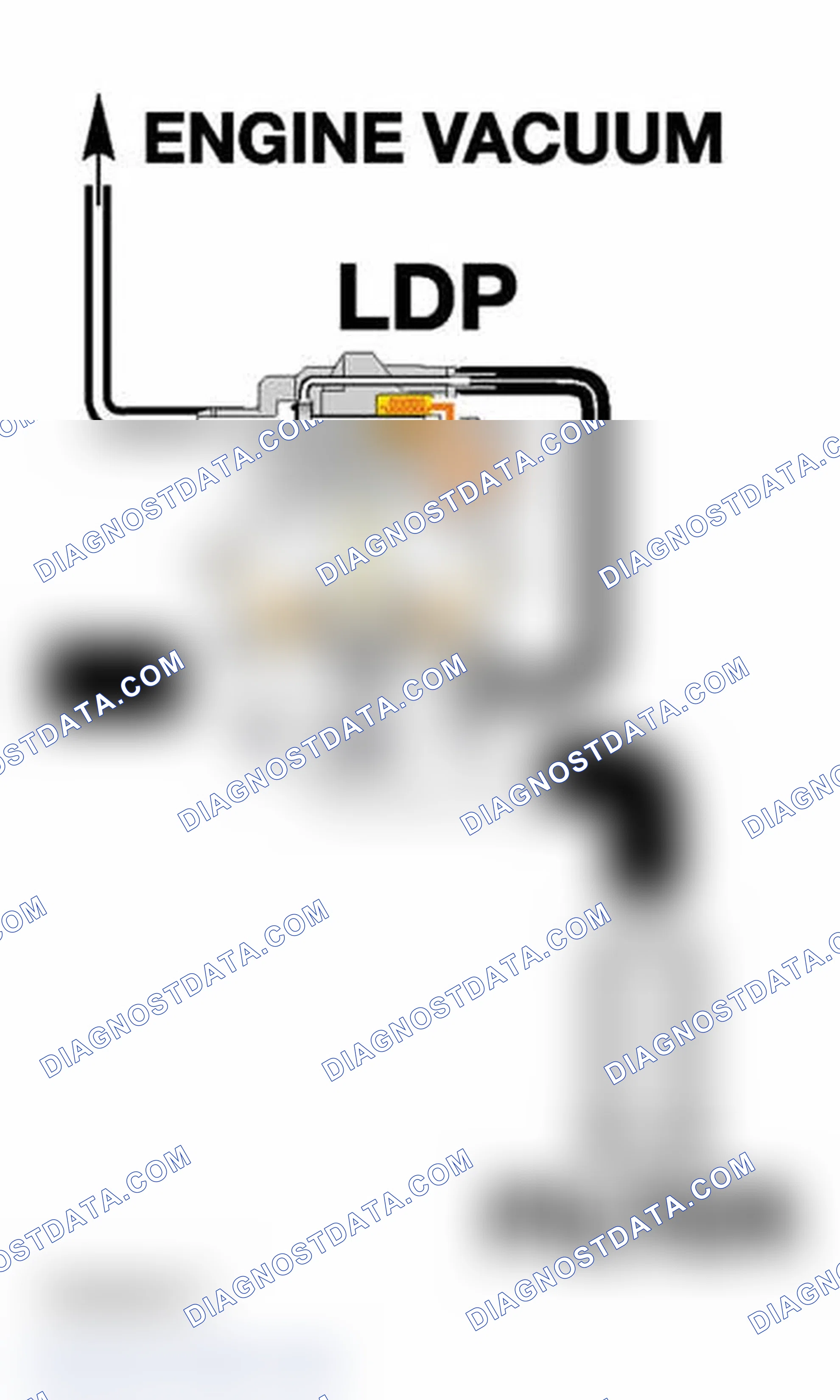Scheme 417: Identifying LDP