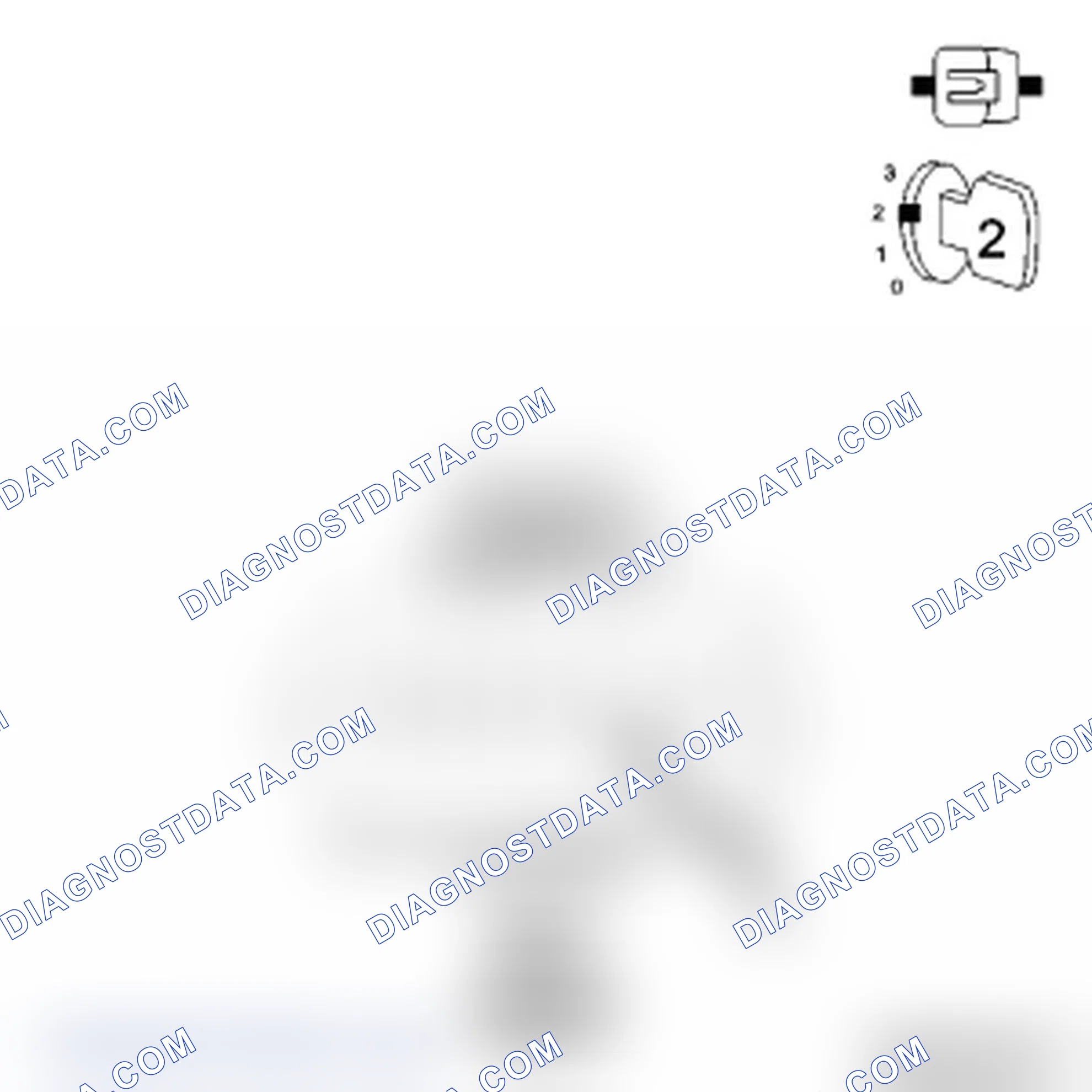 Scheme 12: Diagnostic Test