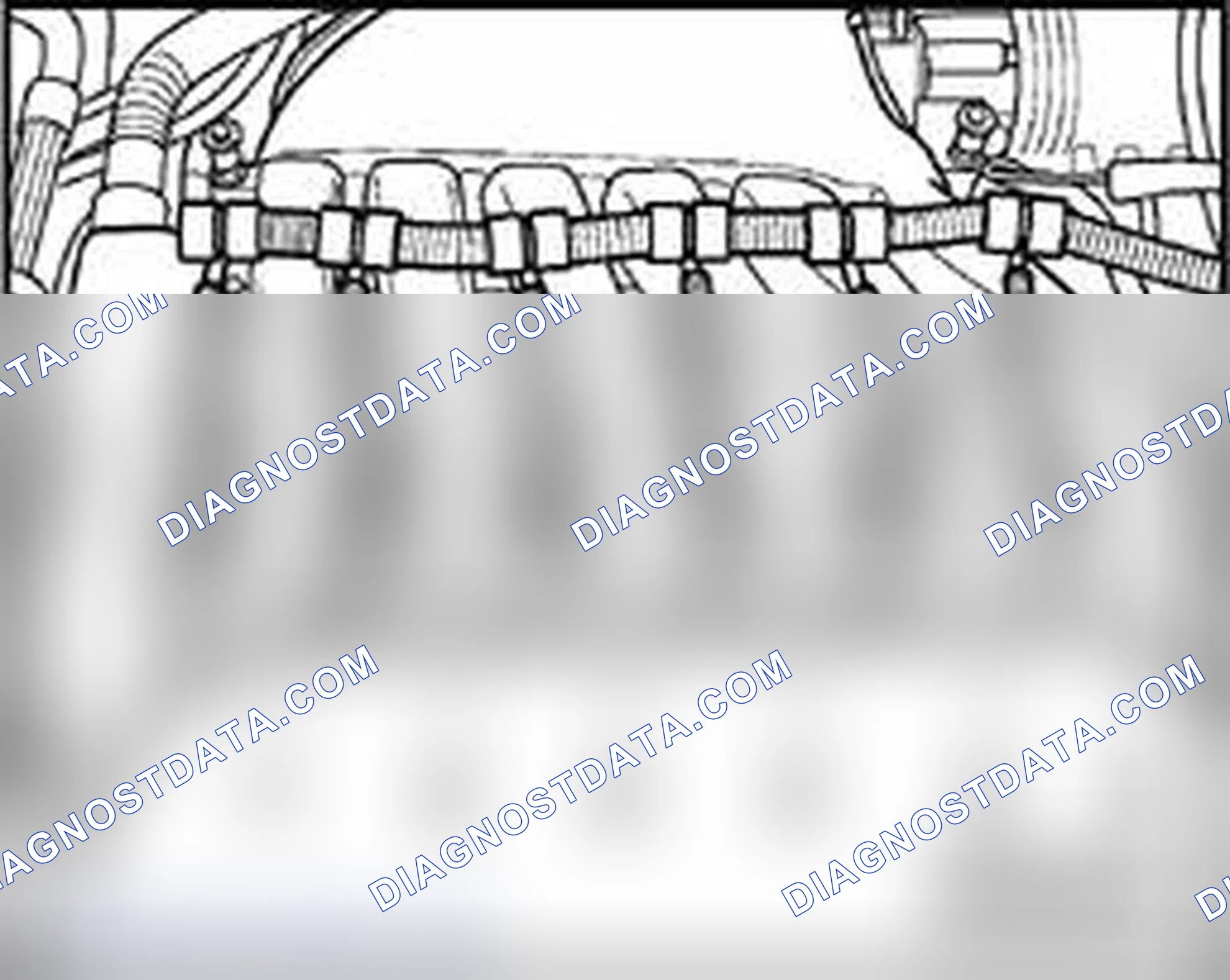 Scheme 648