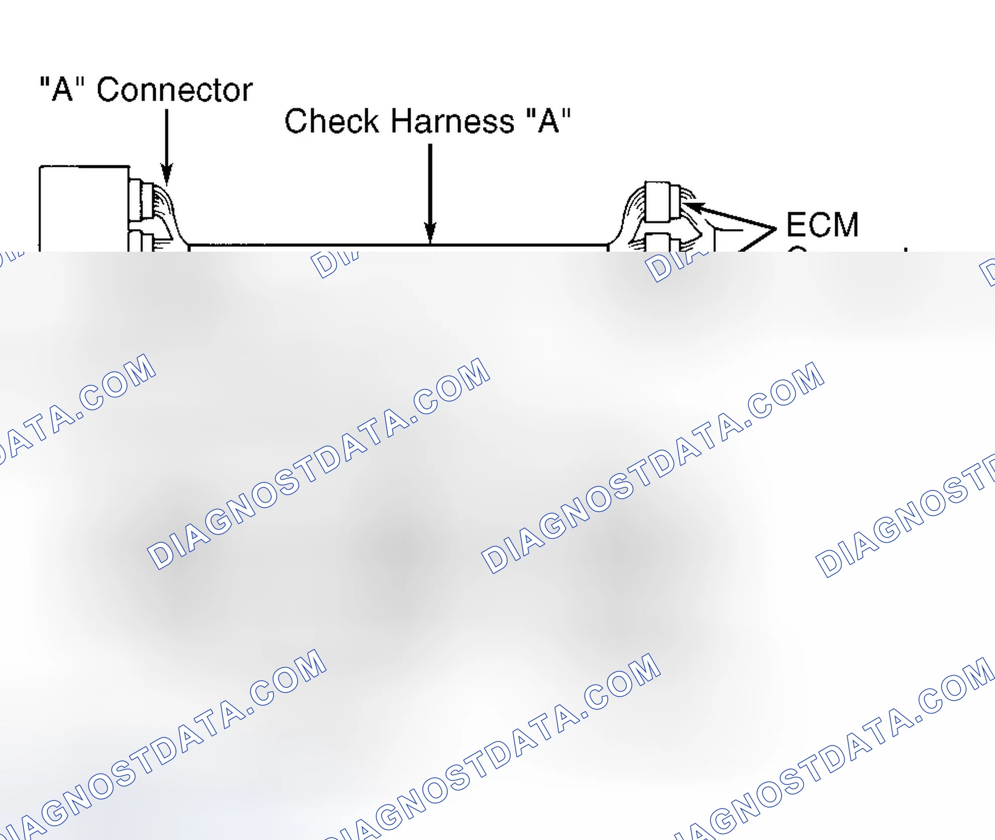 Scheme 6