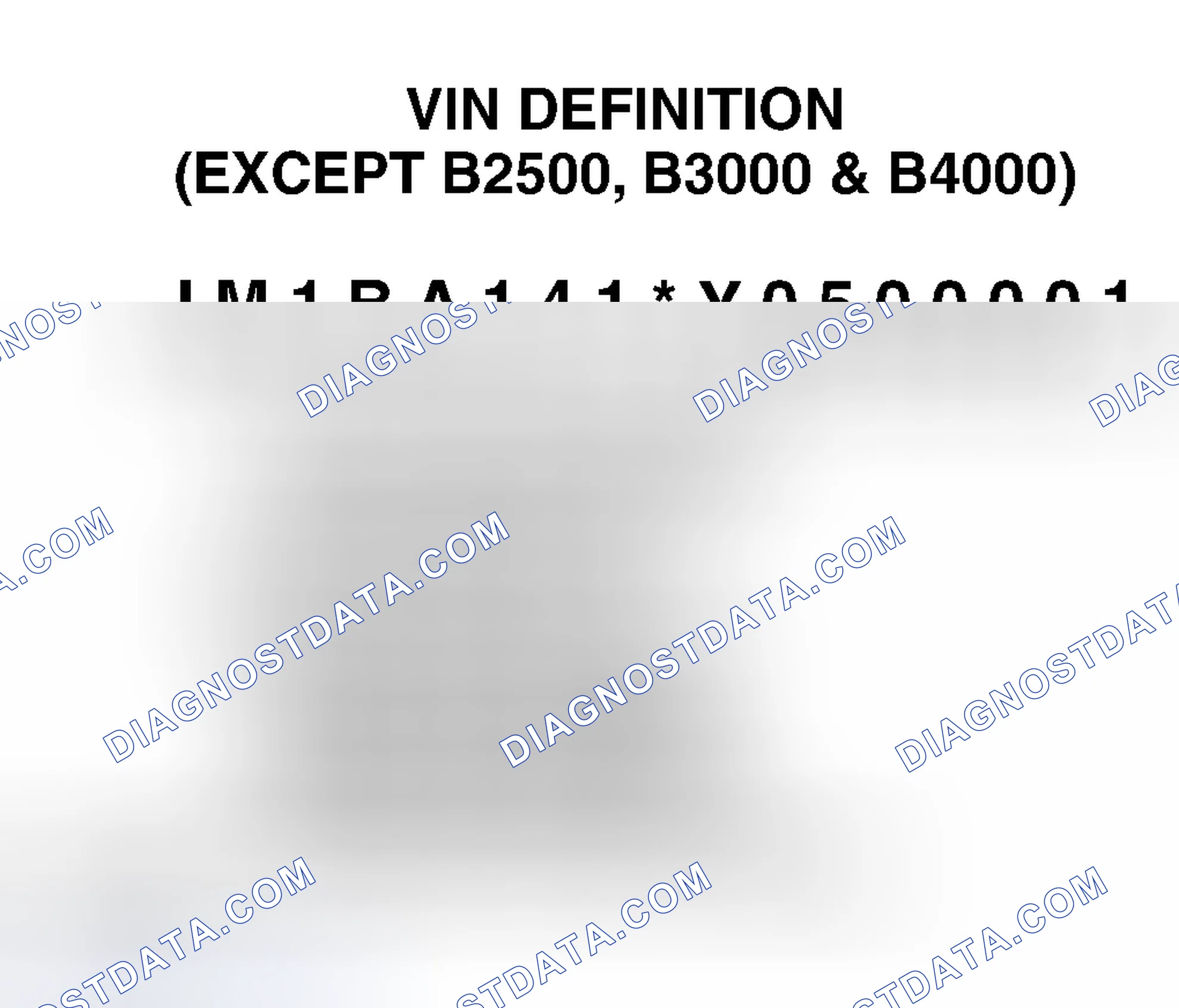 Scheme 1: VIN Definition (Except B2500, B3000 & B4000)