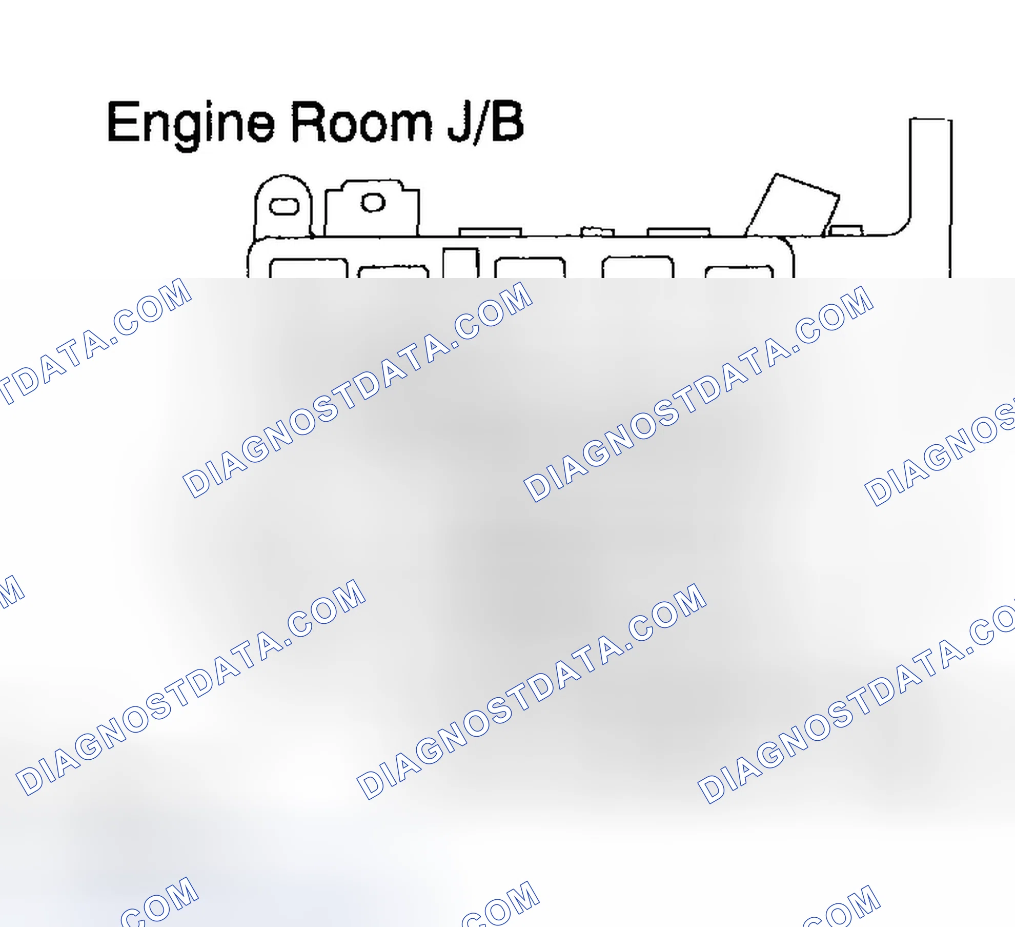 Scheme 381: INSPECTION PROCEDURE