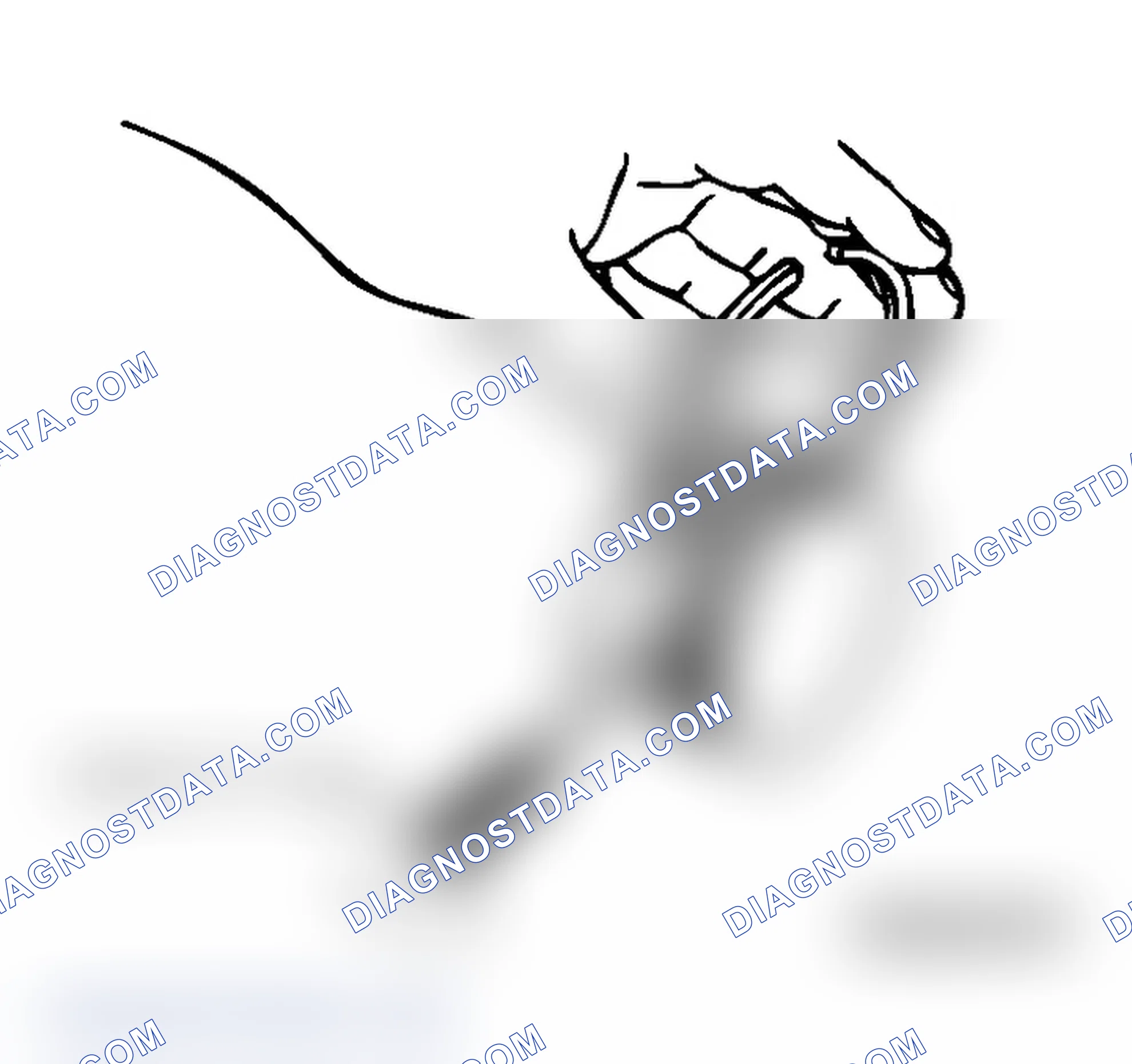 Scheme 891: PISTON RING
