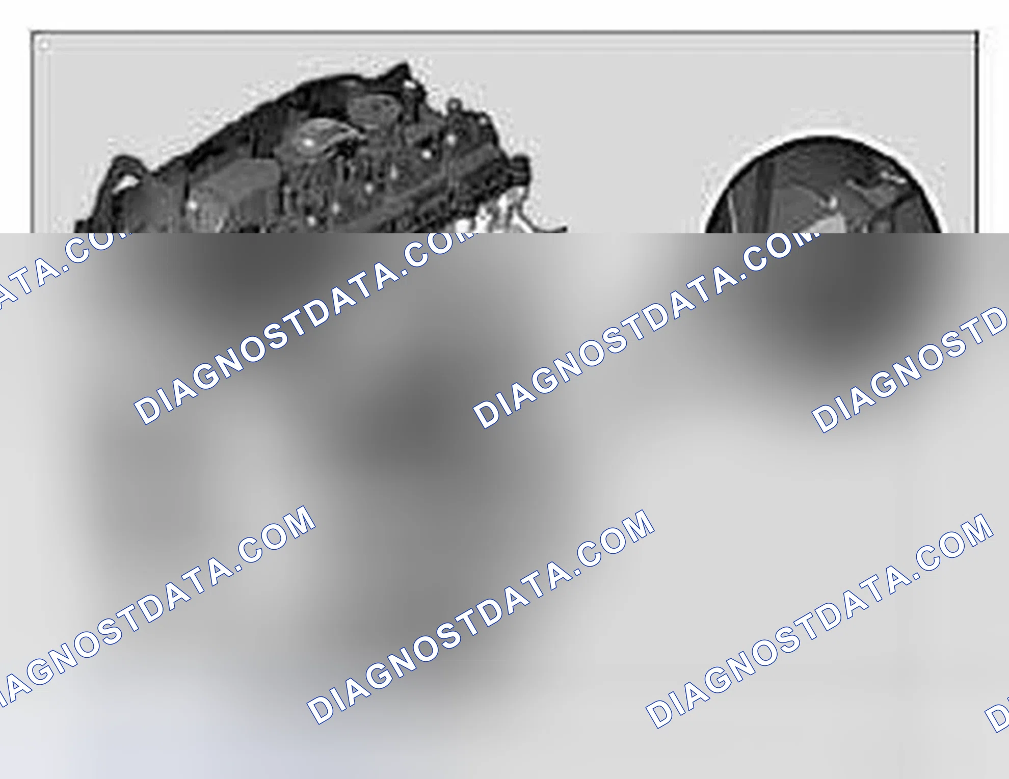 Scheme 70: Engine identification
