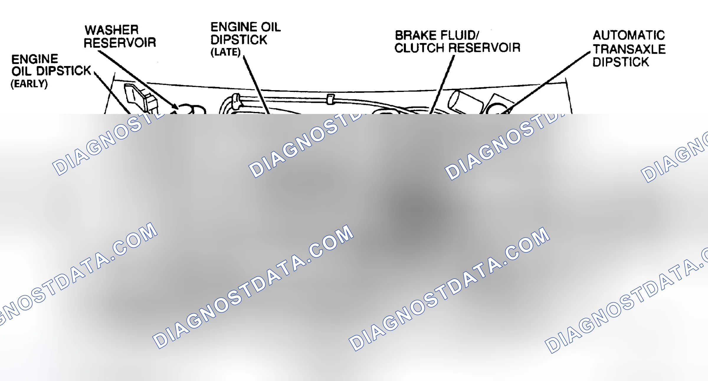 Scheme 6