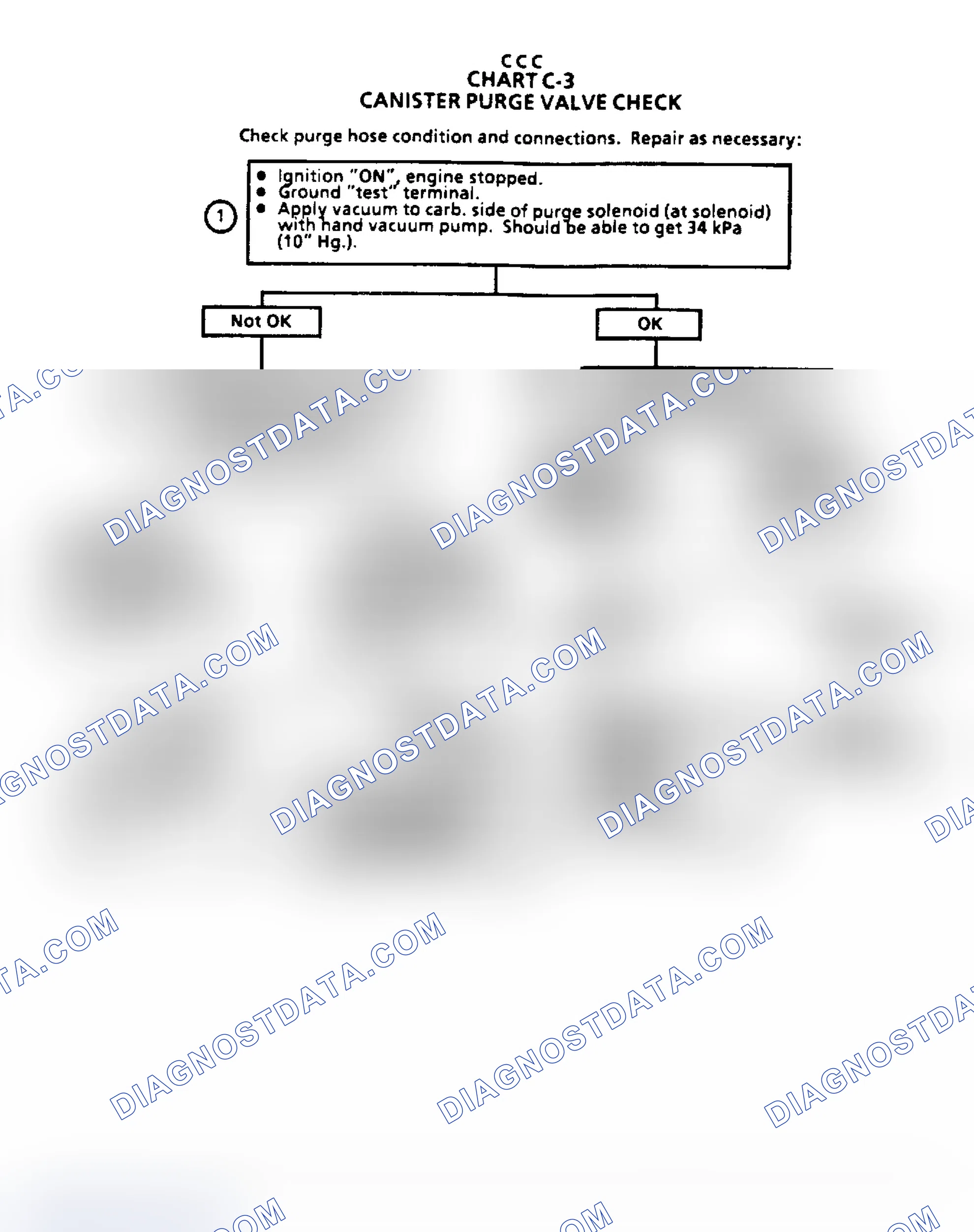 Scheme 161: Flow Chart C3 - Canister Purge Valve Check