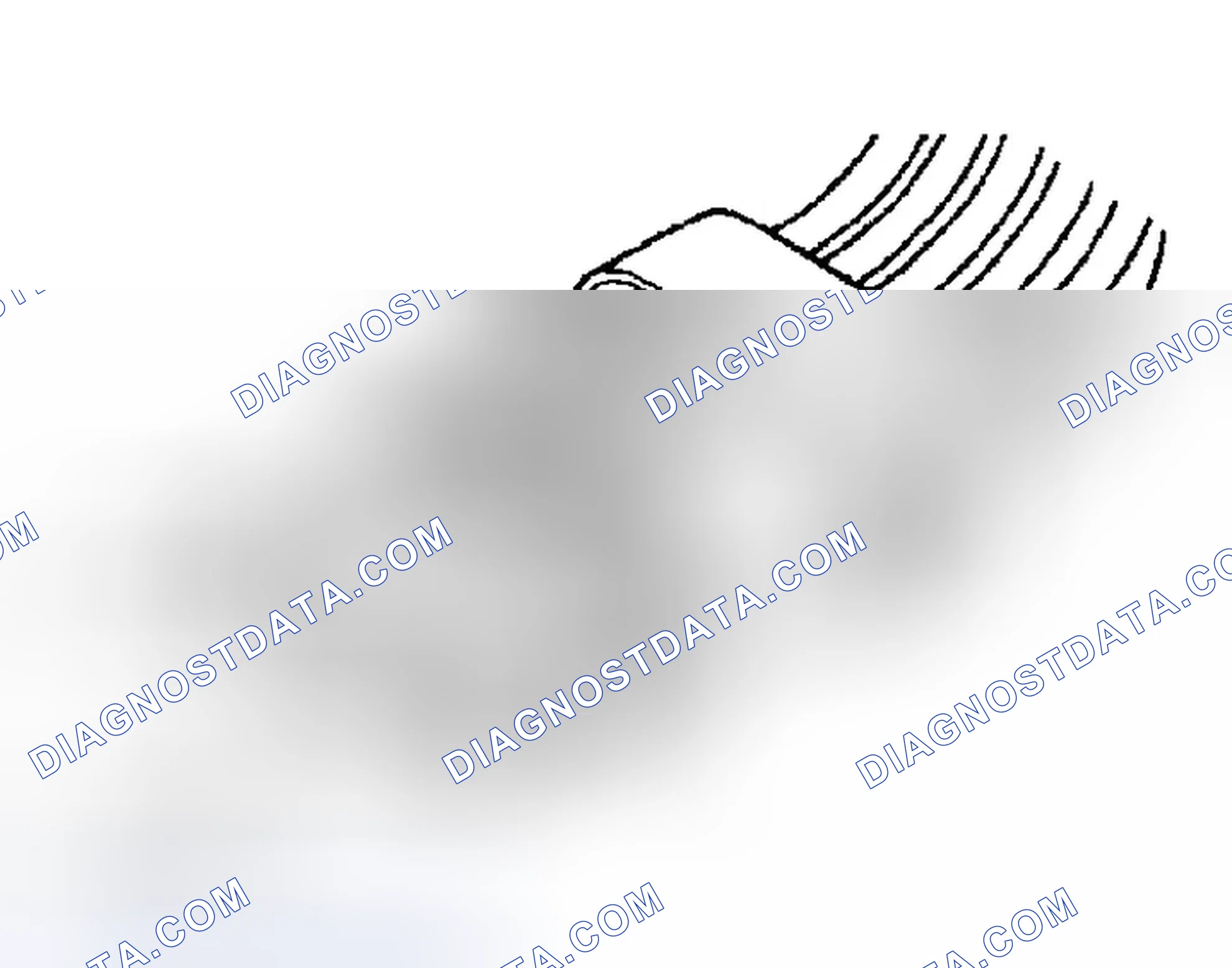 Scheme 102: TRANSMISSION RANGE SENSOR CONNECTOR TERMINAL IDENTIFICATION (4-SPEED A/T)