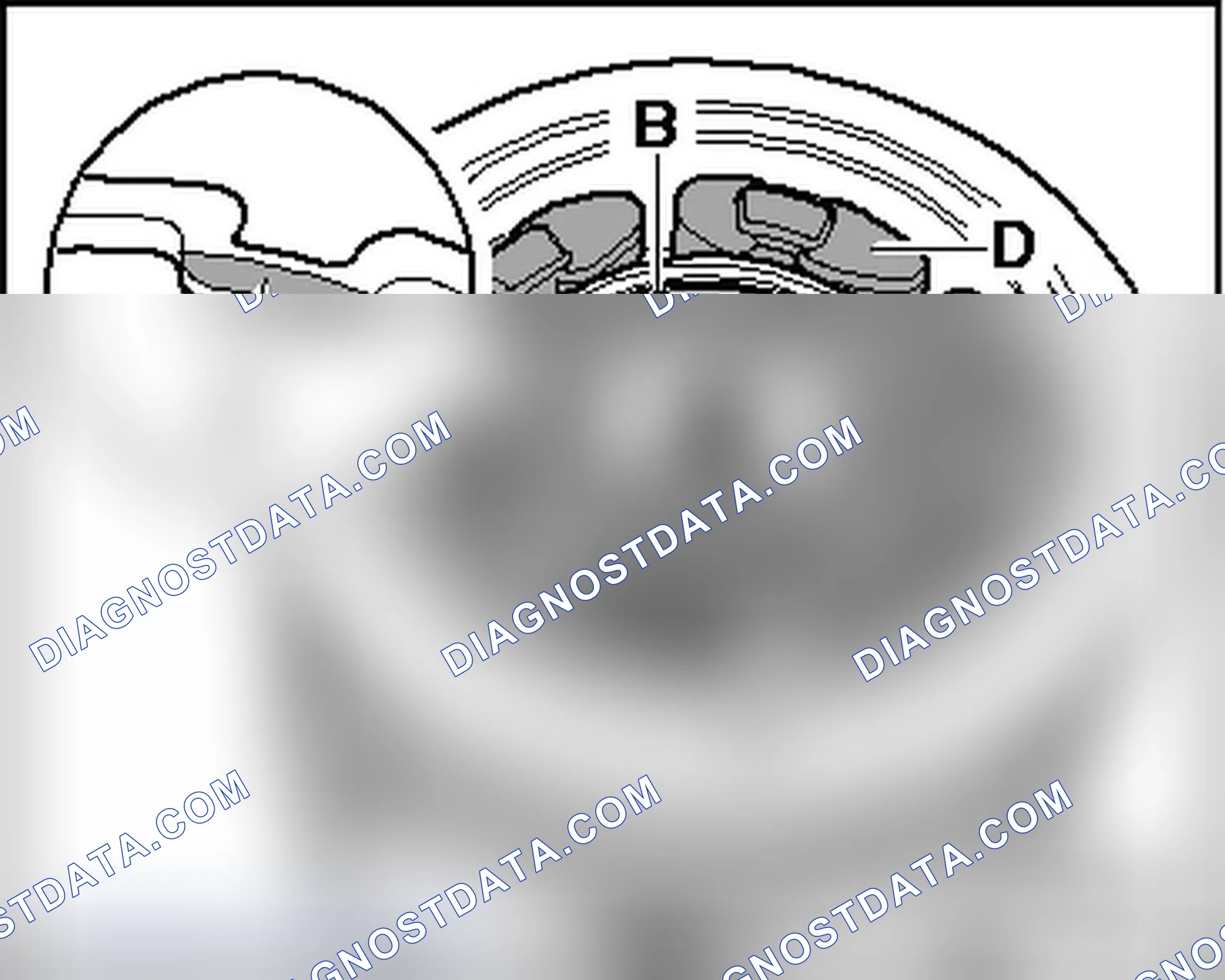 Scheme 41