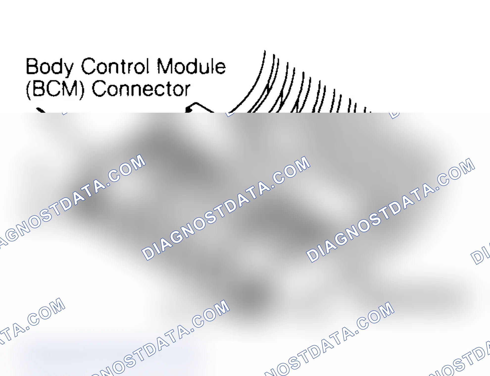 Scheme 1: Identifying BCM Connector (Bone Or Gray) Terminals