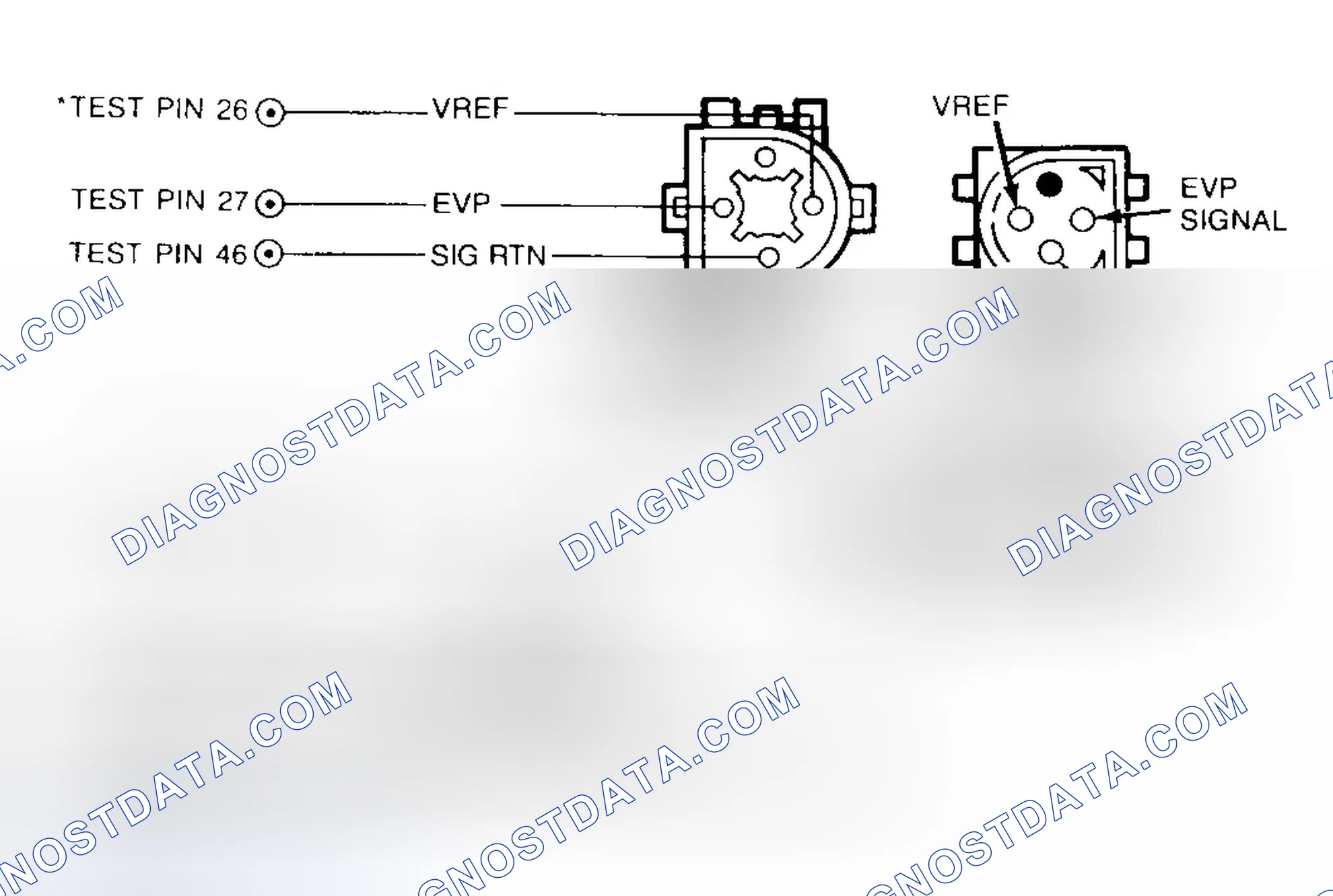 Scheme 79: Identifying EVP Sensor & EVR Solenoid Connector Terminals