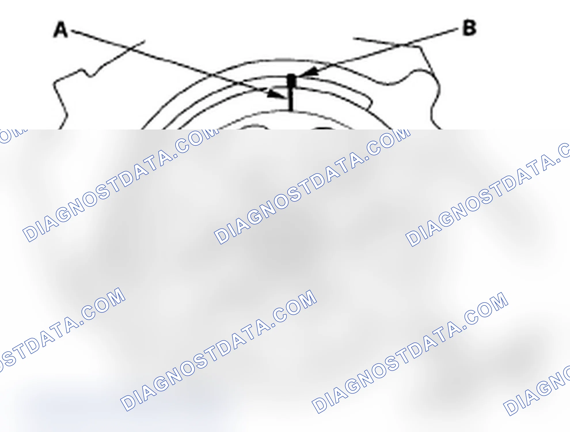 Scheme 62