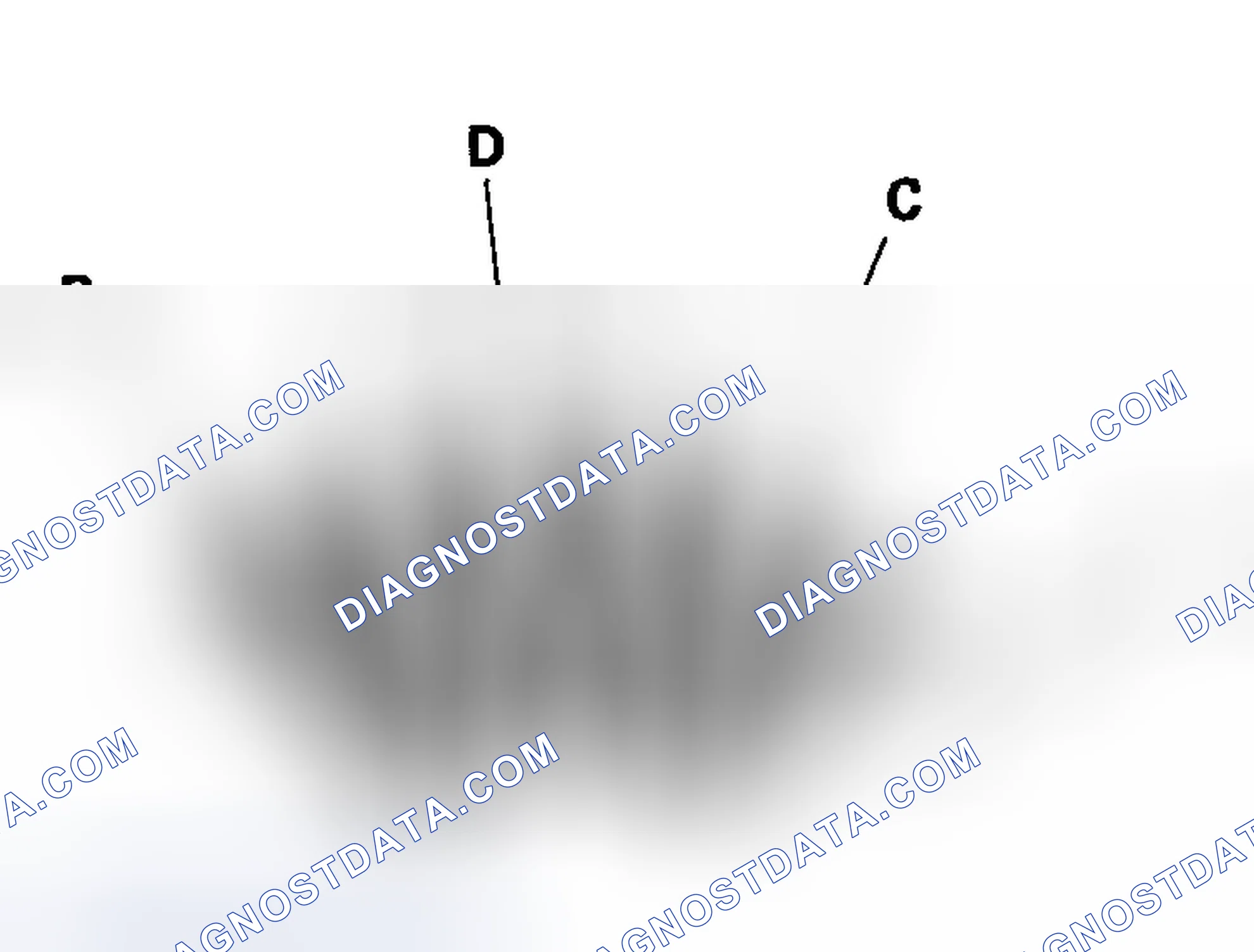 Scheme 19