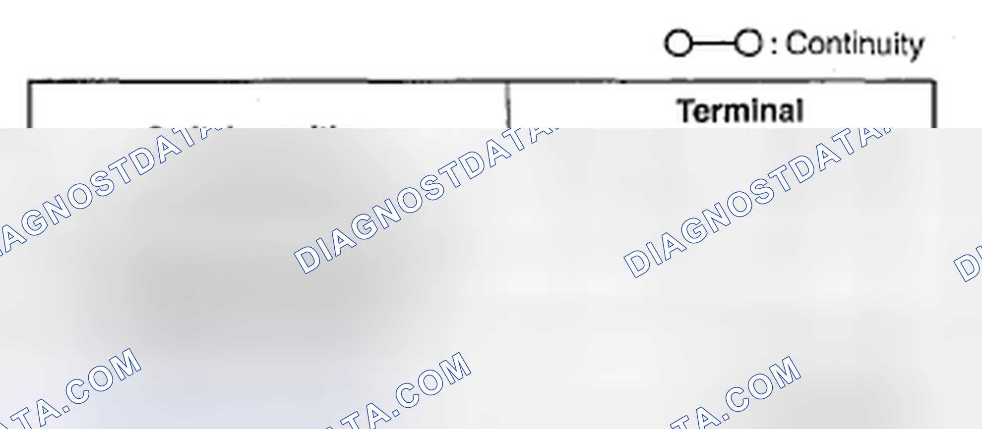 Scheme 48: LIFTGATE OUTER HANDLE SWITCH INSPECTION