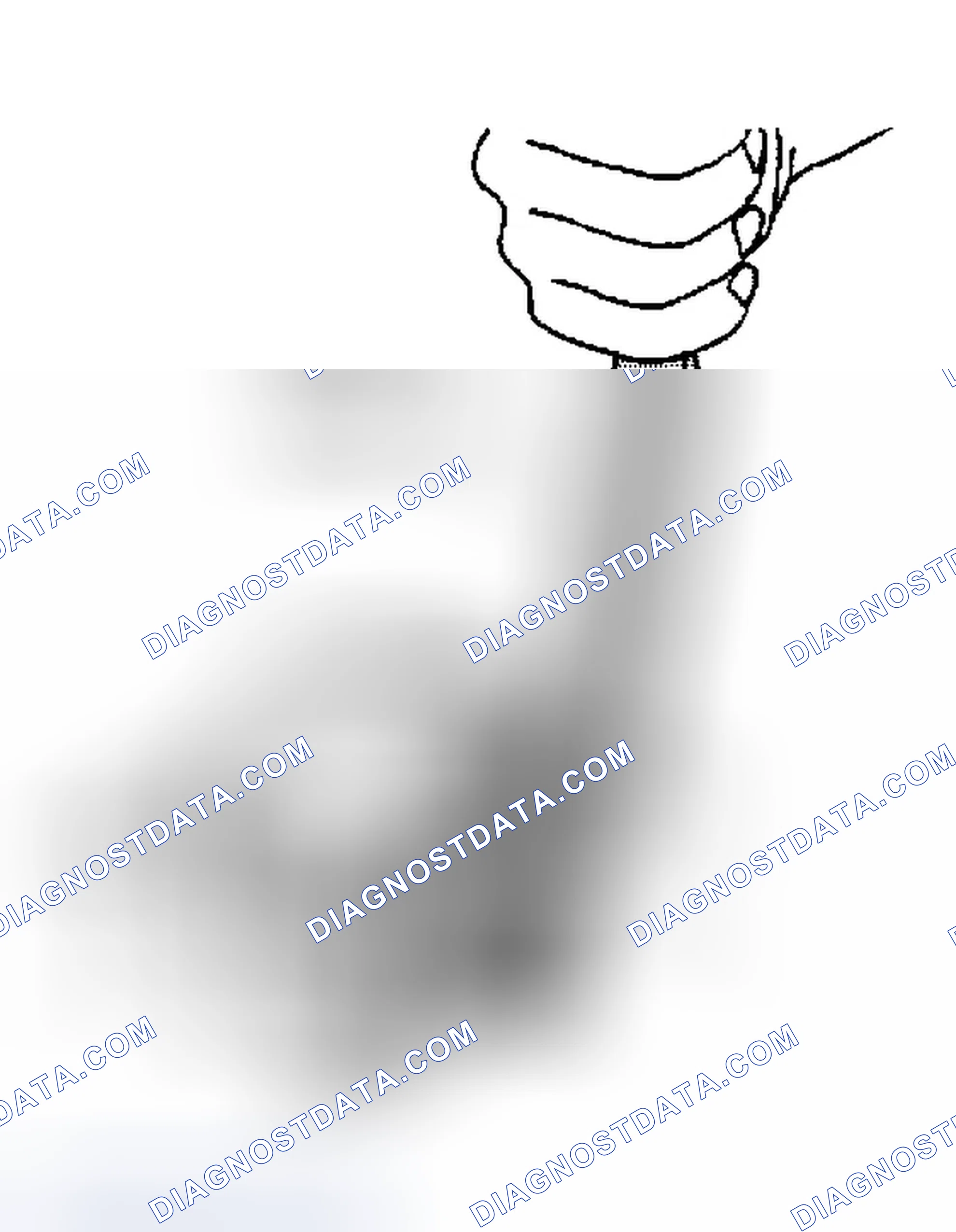 Scheme 314