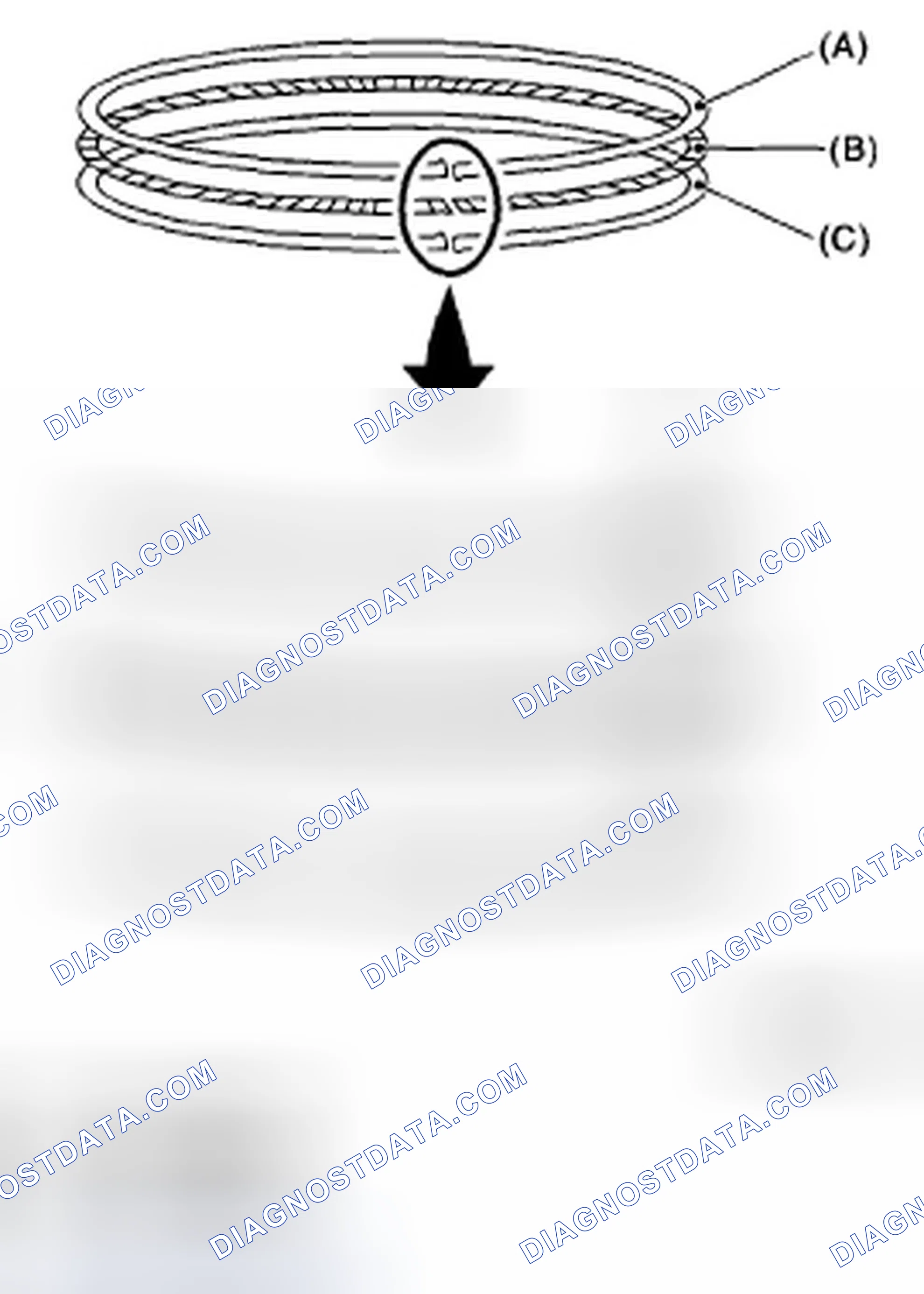Scheme 231: PISTON RING