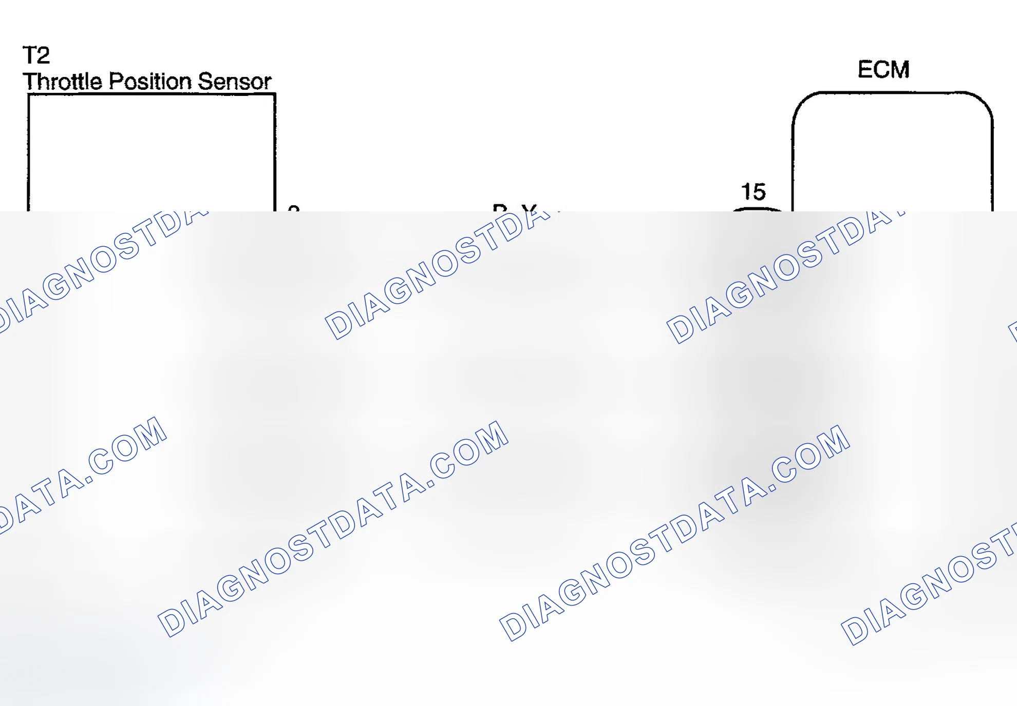 Scheme 507