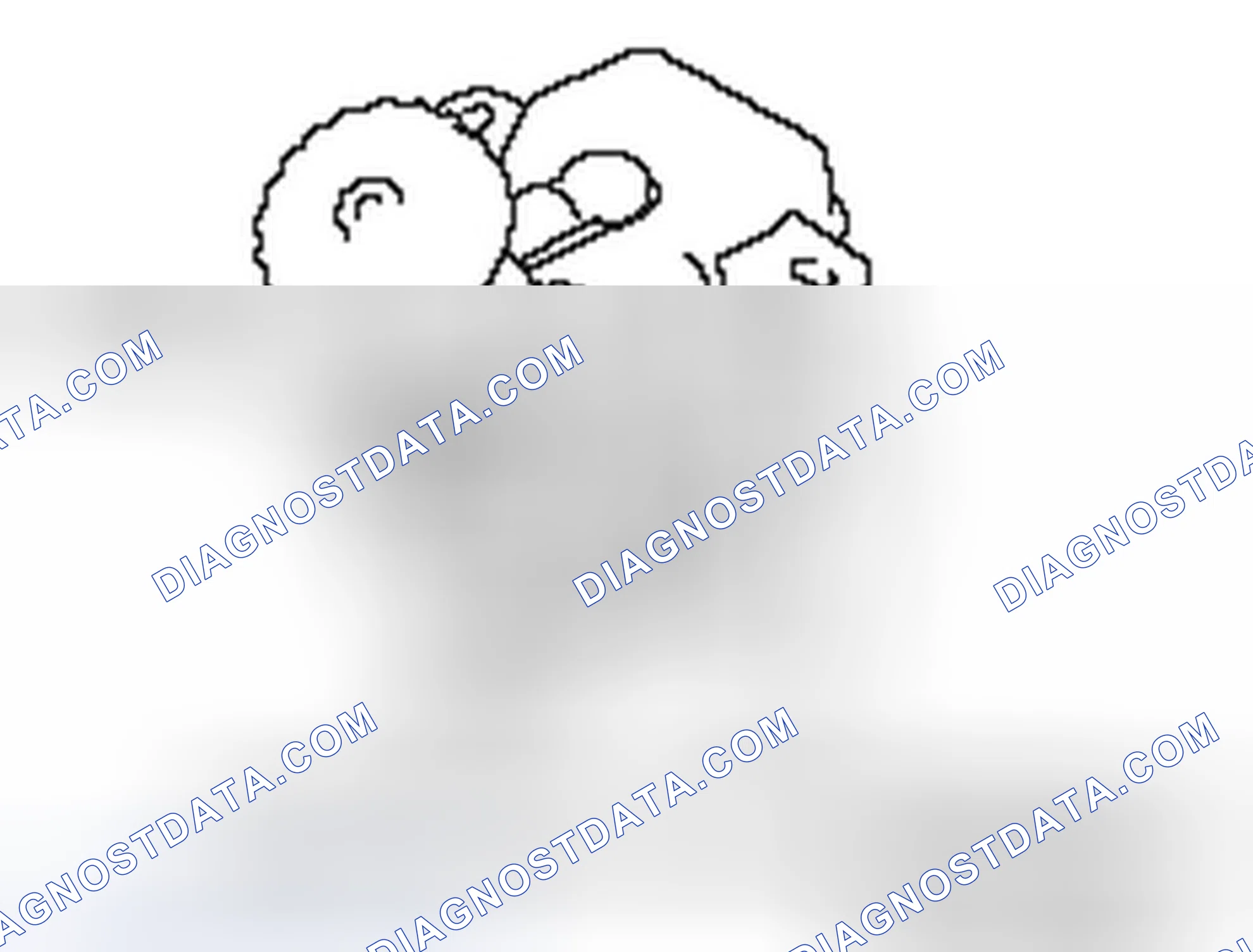 Scheme 43: >> B << BLEEDING OF MASTER CYLINDER ASSEMBLY
