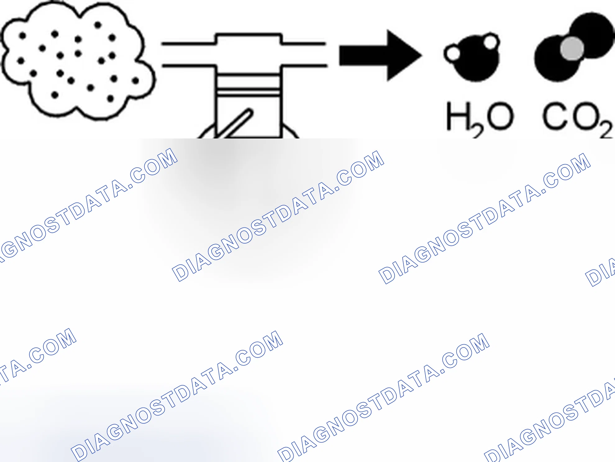 Scheme 201: FUEL TRIM