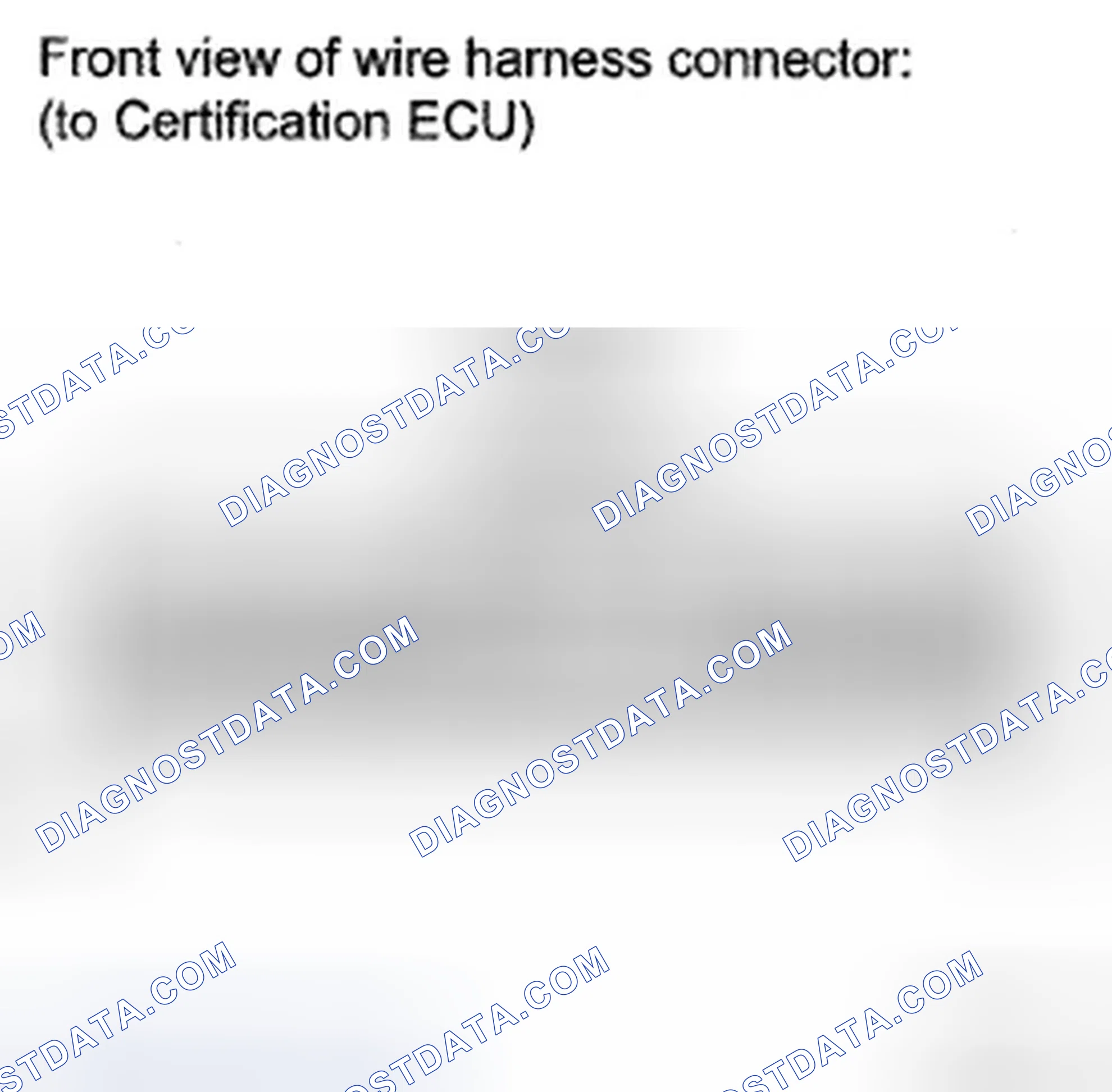 Scheme 300: INSPECTION PROCEDURE