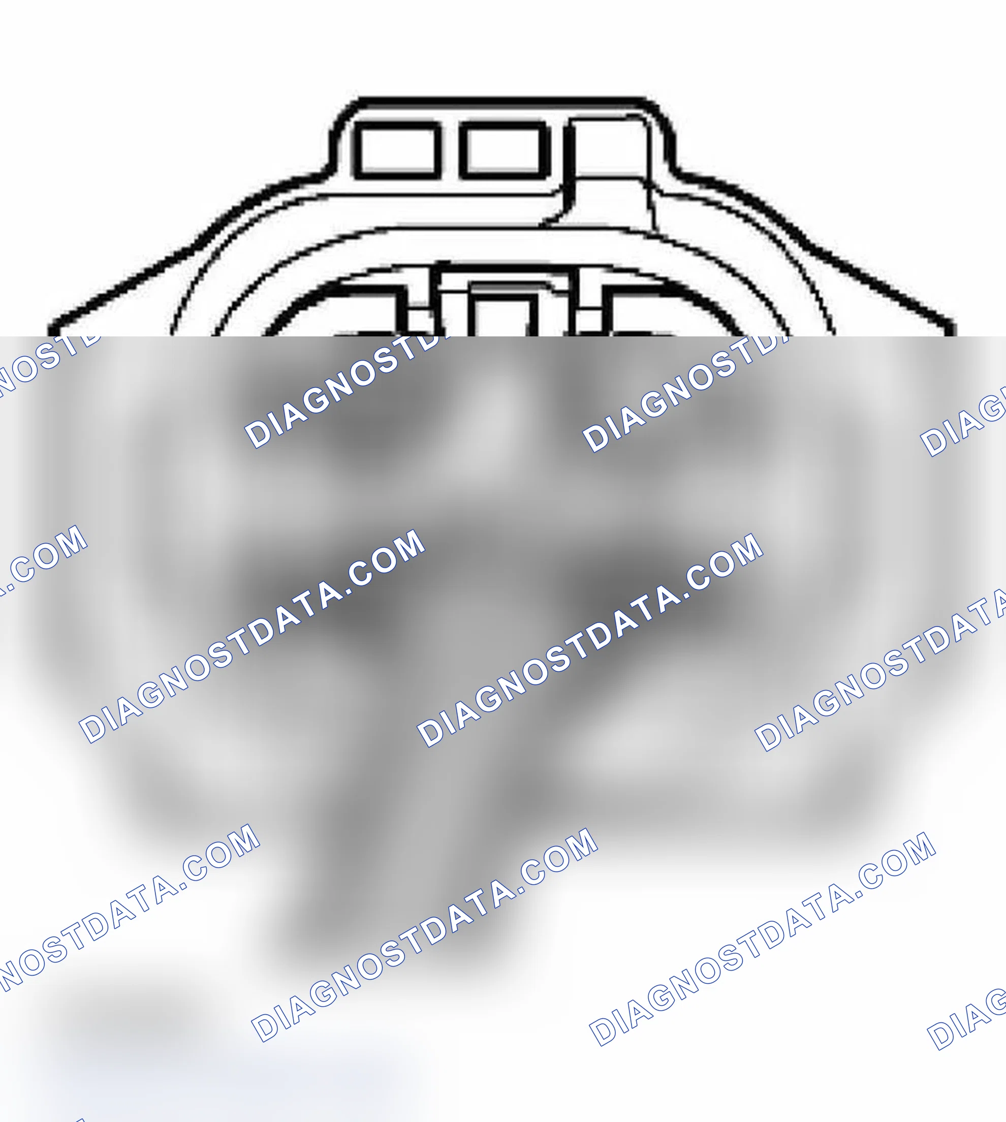Scheme 219
