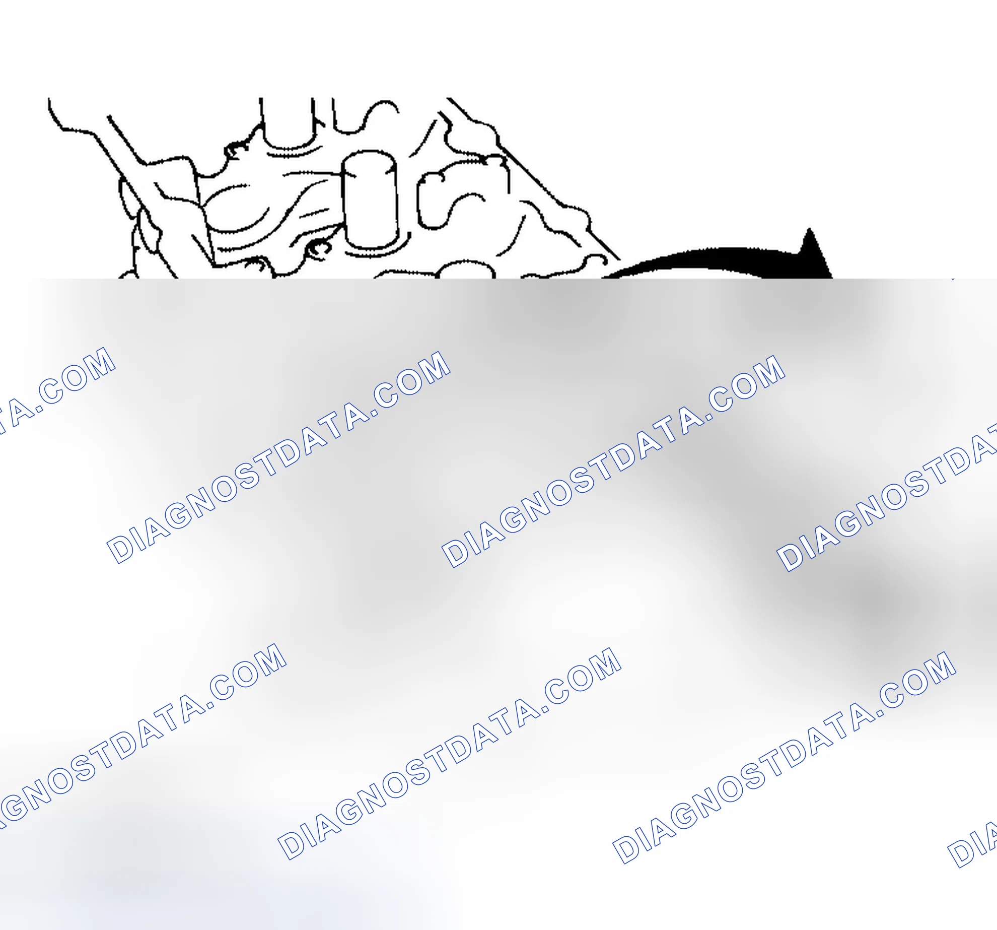 Scheme 200: Inner Diameter of Camshaft Bracket