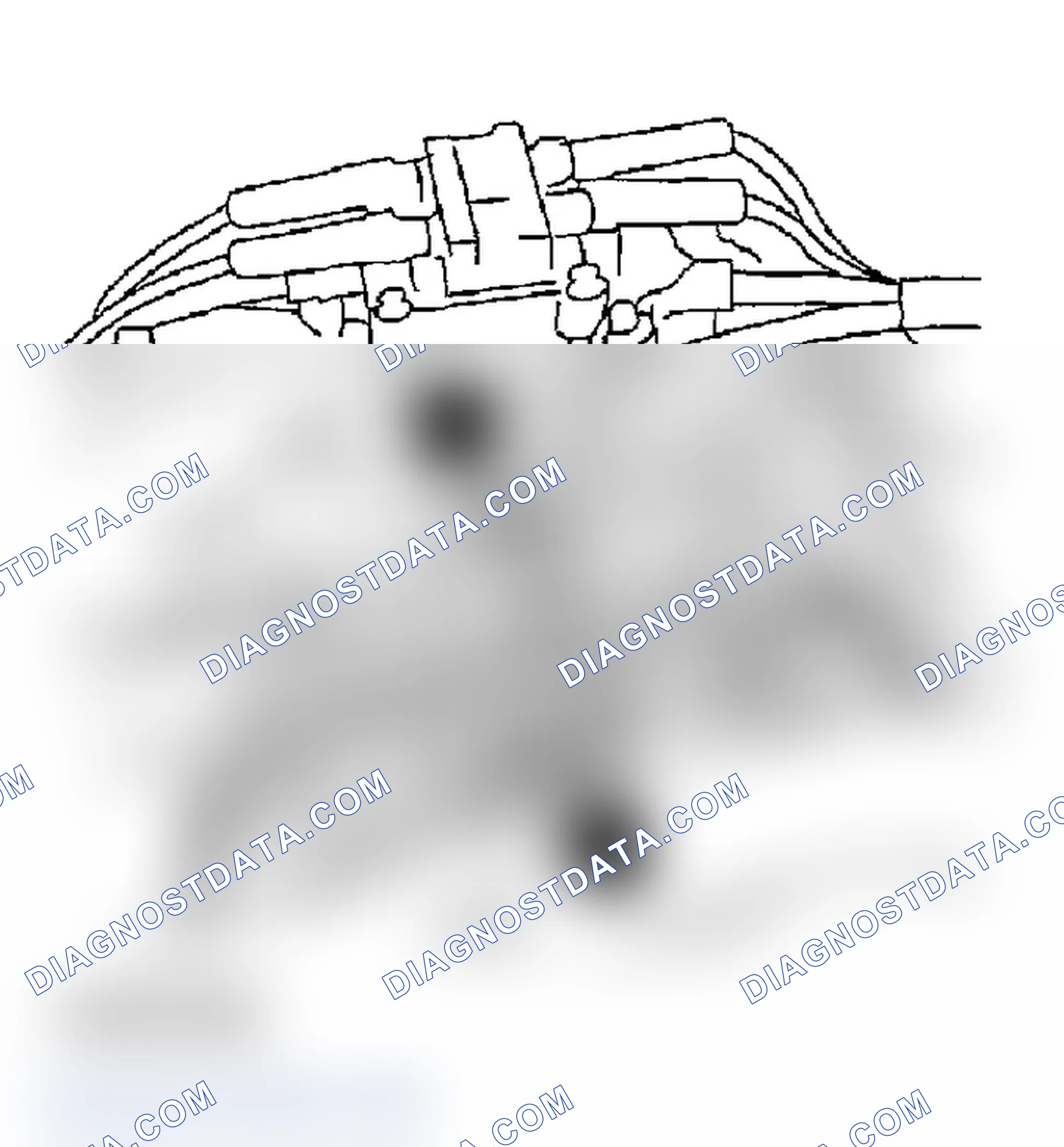 Scheme 317: FRONT SIDE BELT
