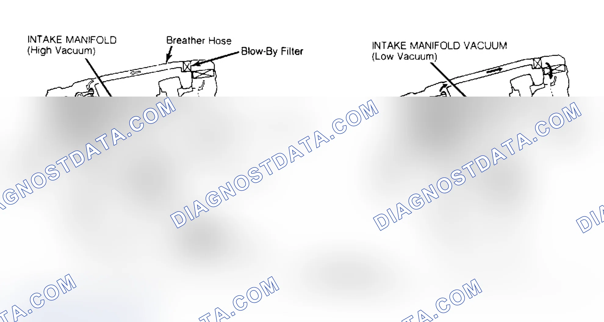 Scheme 22: Crankcase Ventilation System (Accord & Prelude - Carbureted) PCV valve is located in-line on fuel injected models. Courtesy of American Honda Motor Co., Inc.