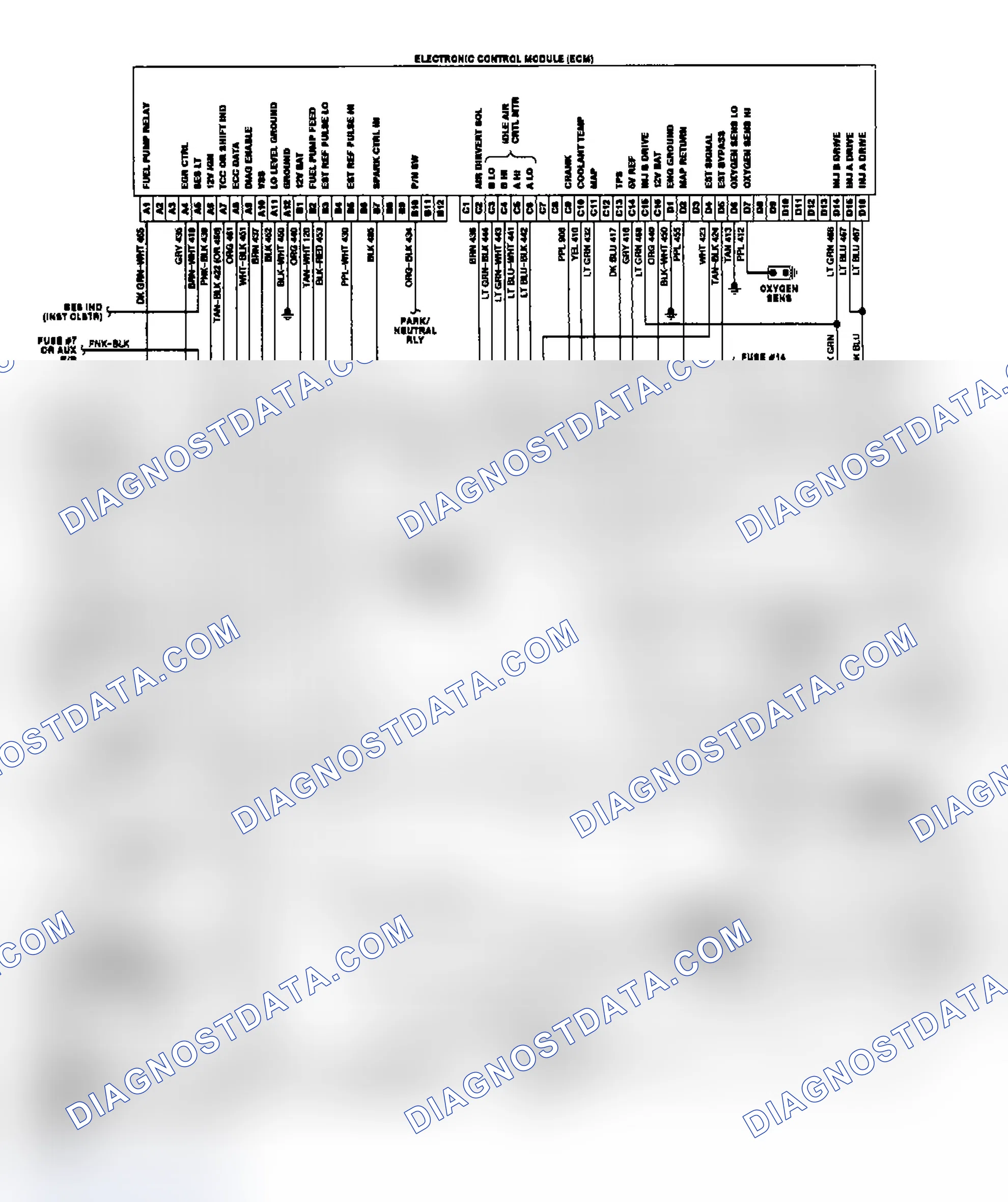 Scheme 7: "P" Series Wiring Diagram