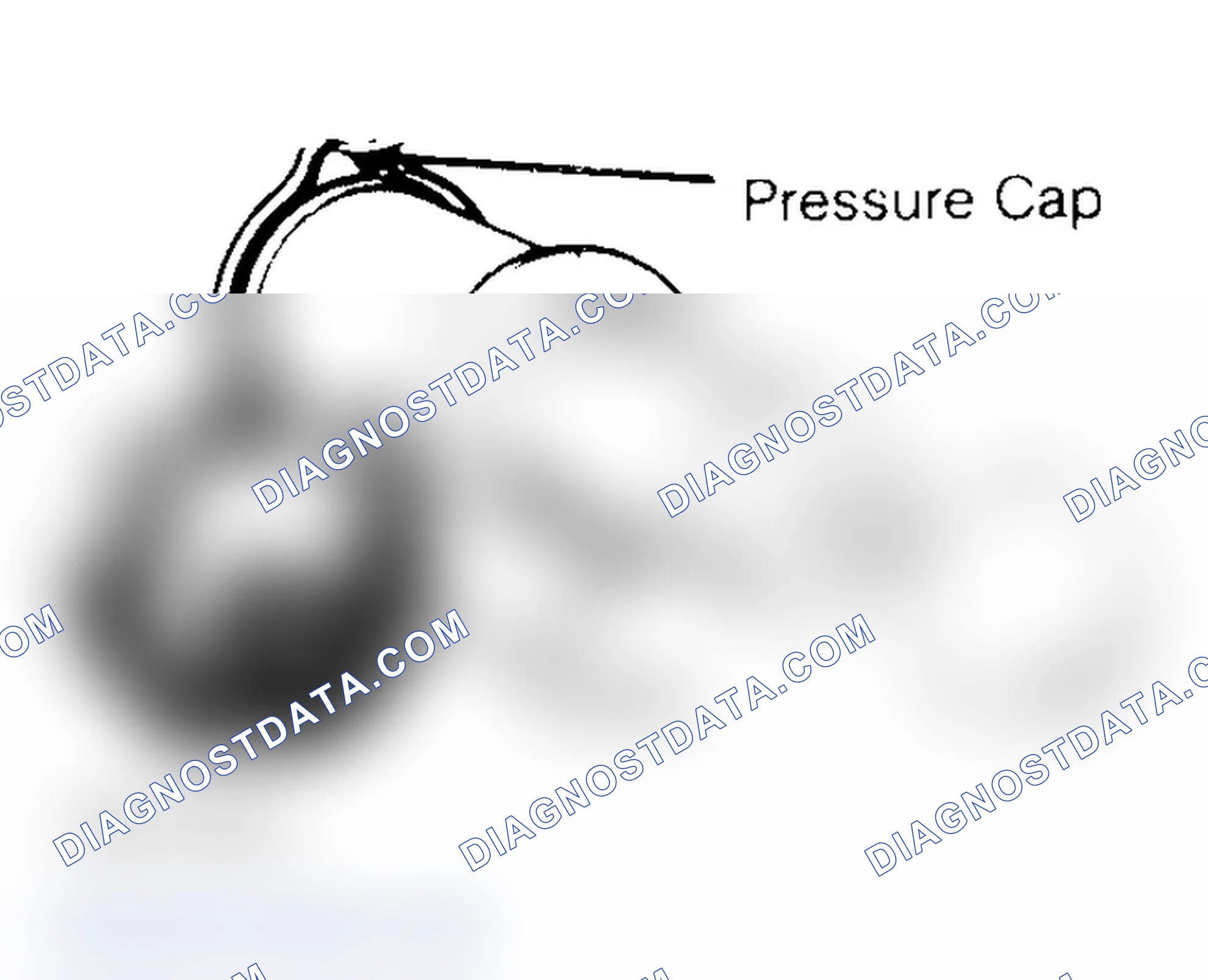 Scheme 2: Pressure Testing Radiator Cap