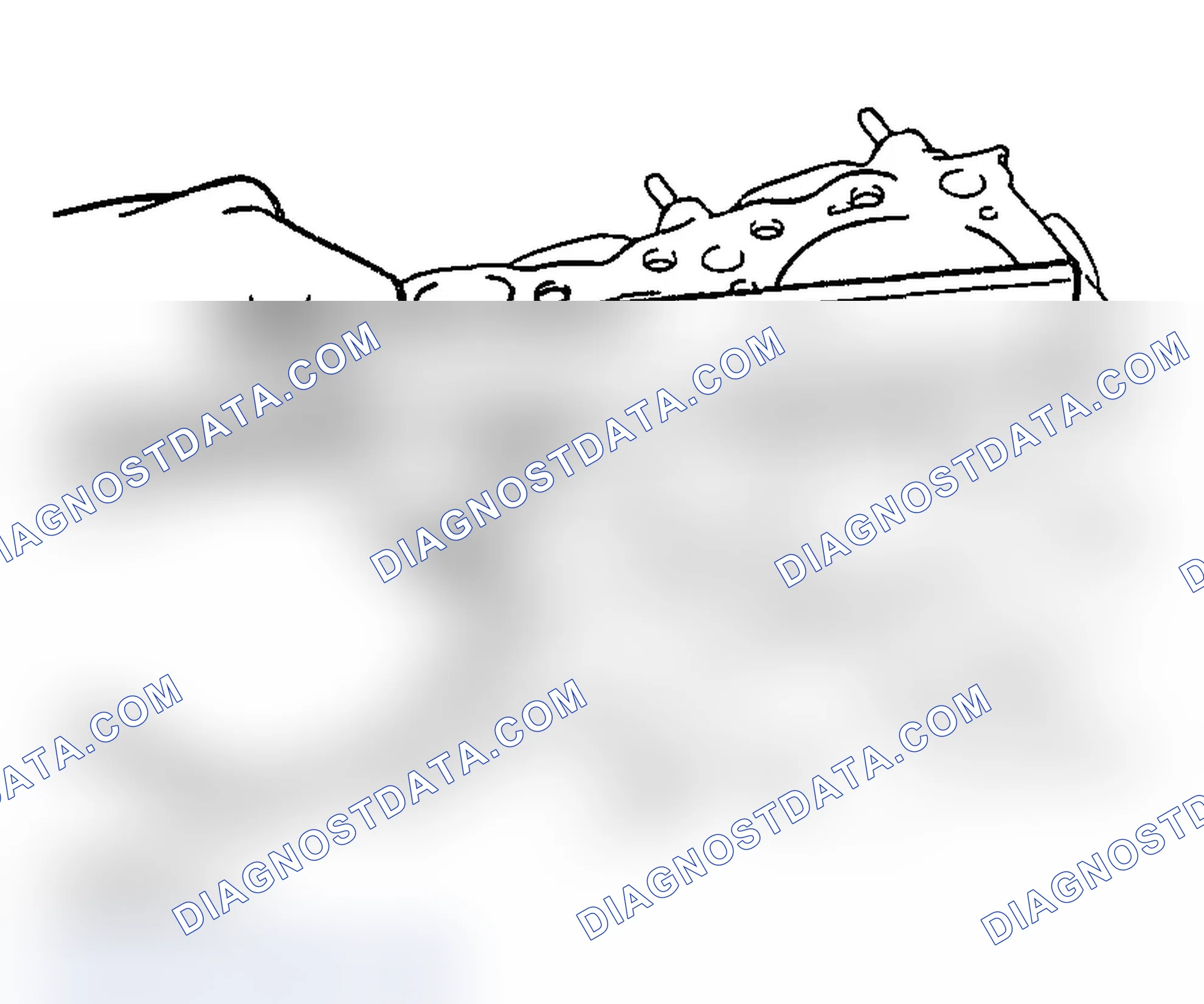 Scheme 1010: CYLINDER HEAD