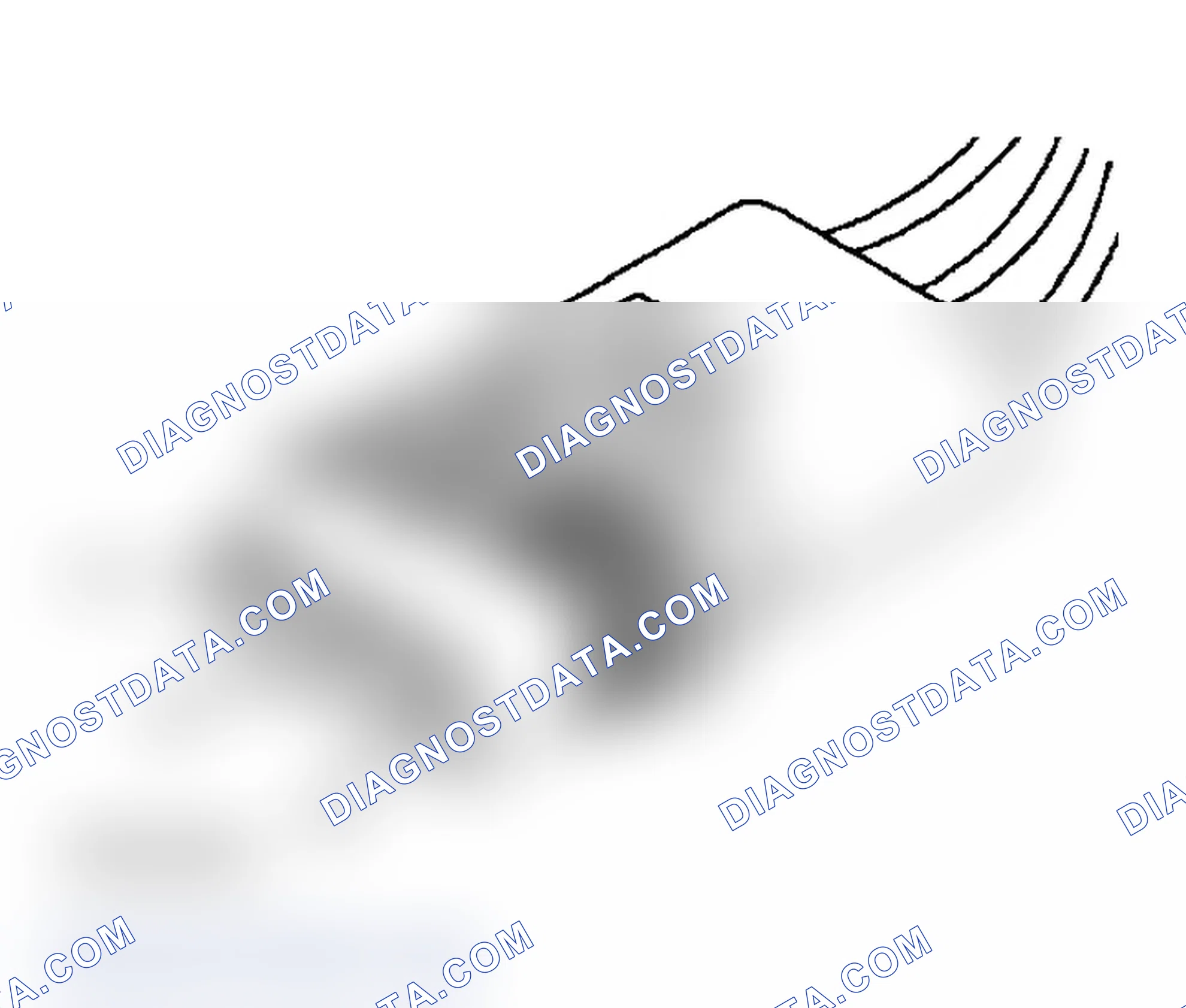 Scheme 19: THROTTLE POSITION SENSOR CONNECTOR TERMINAL IDENTIFICATION