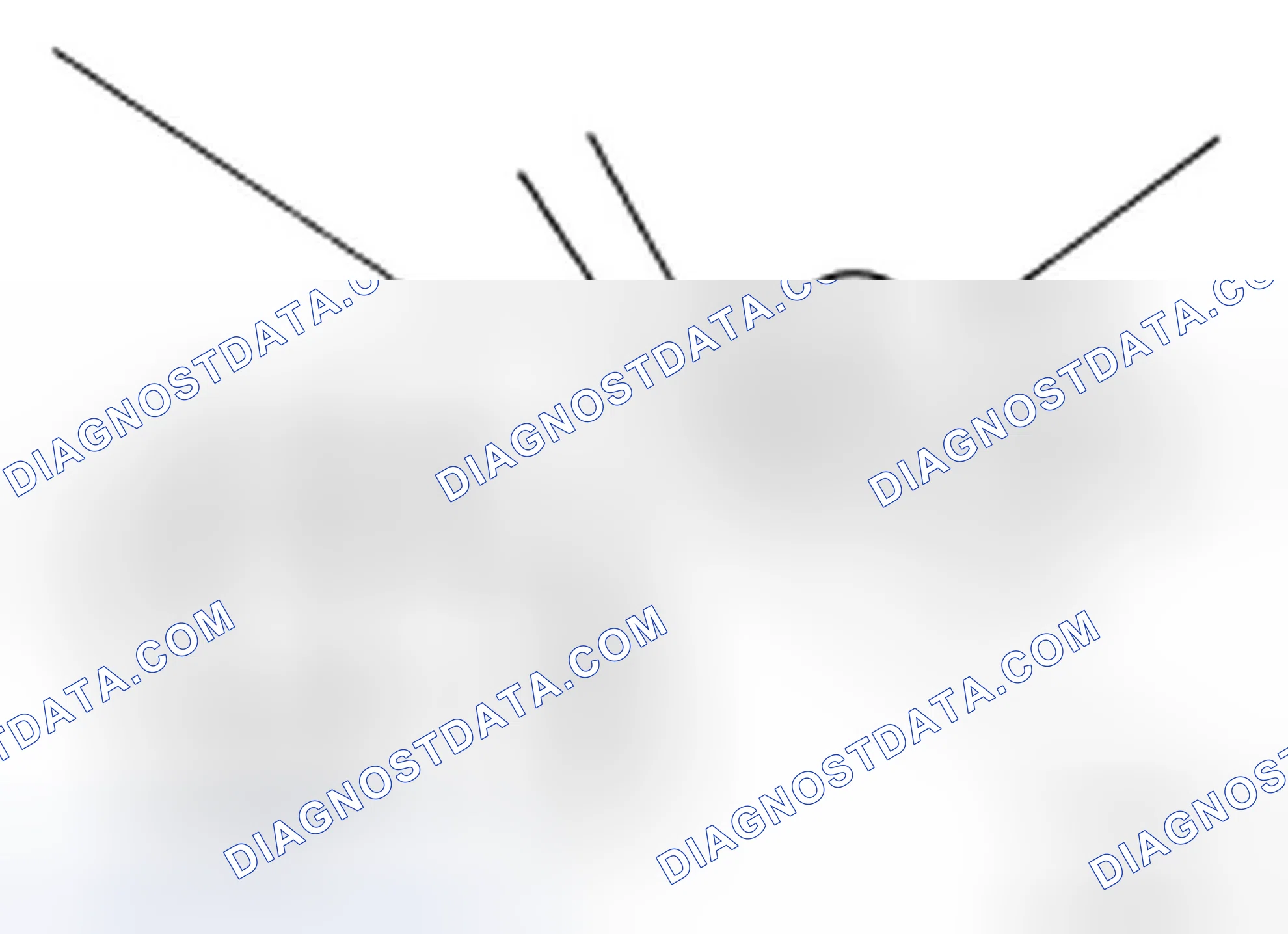 Scheme 61: BRAKE FLUID : Changing